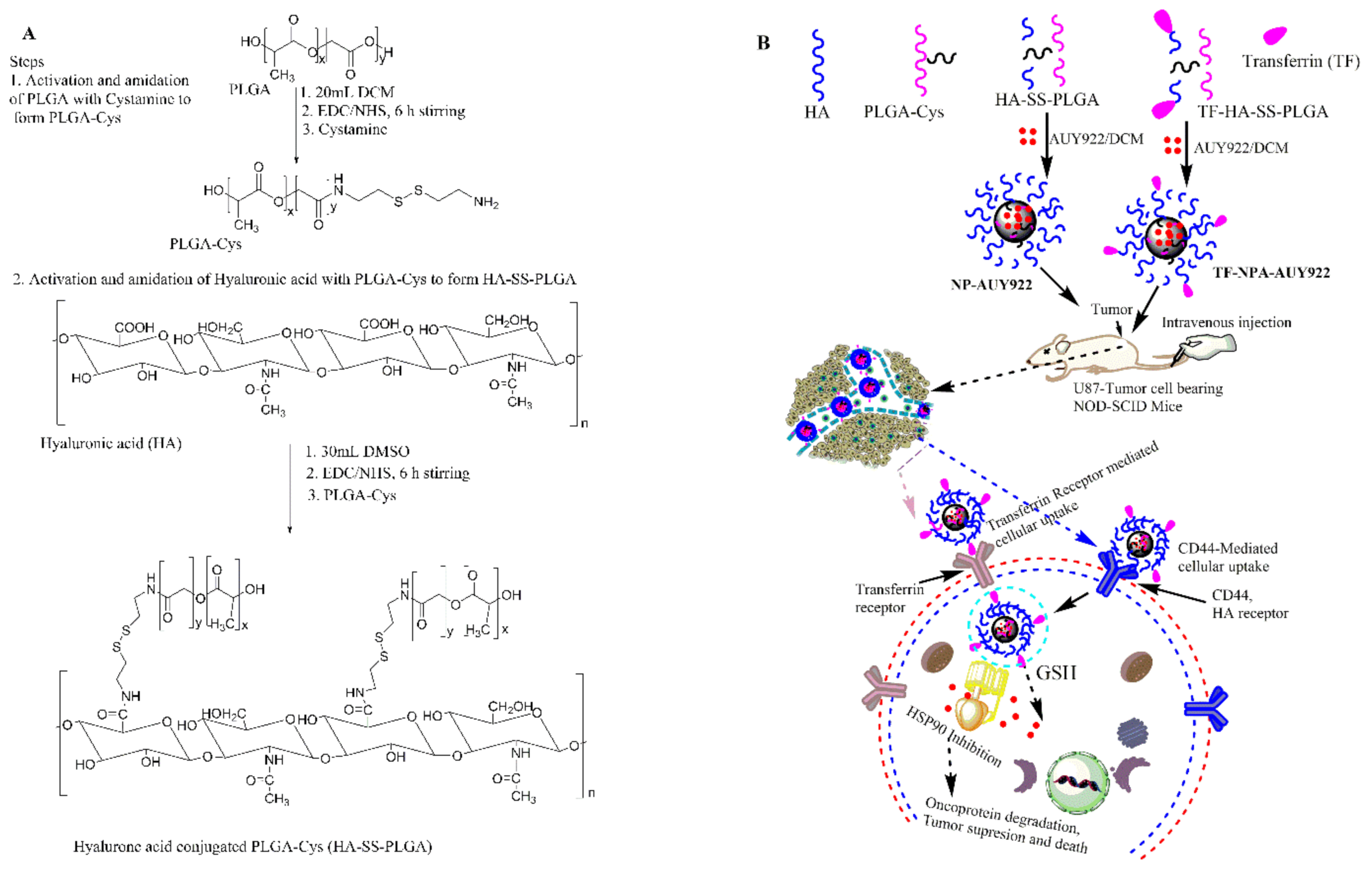 Cancers 13 02375 sch001