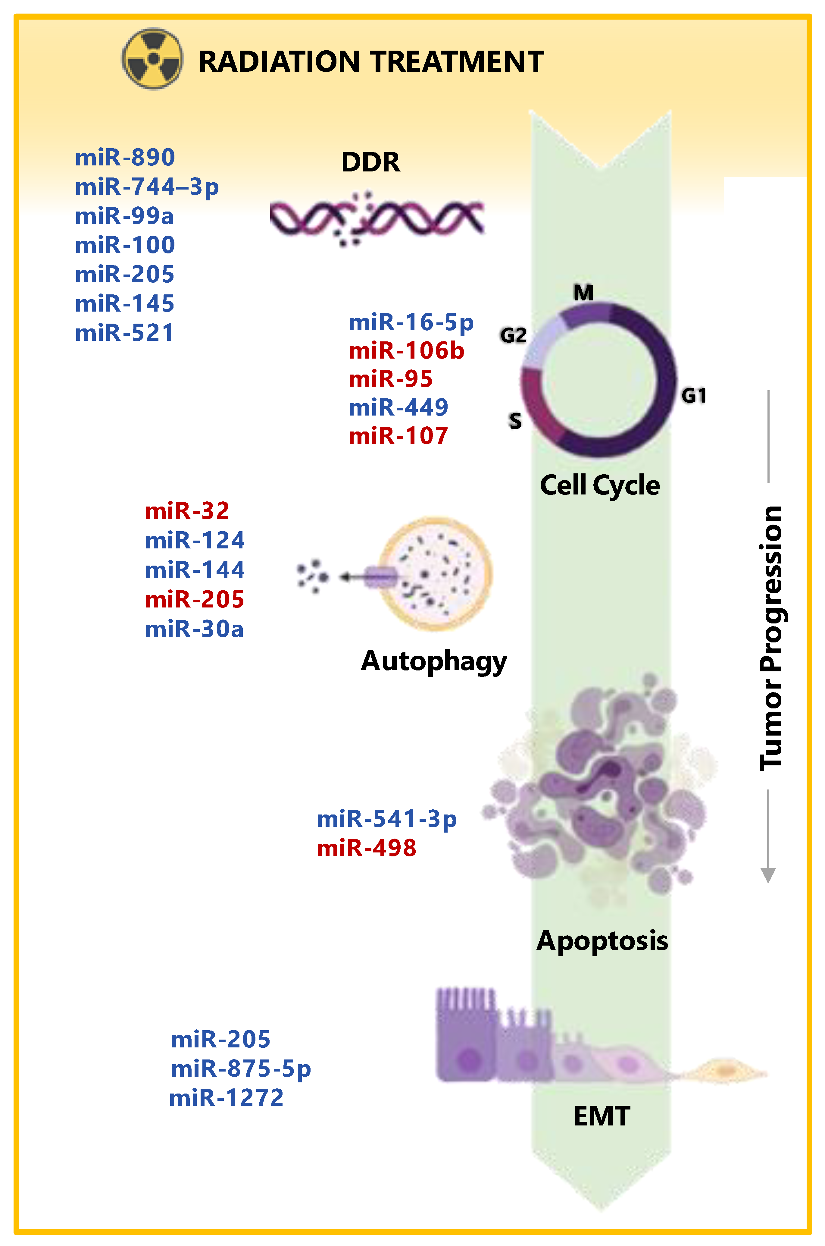 Cancers 13 02380 g001 Cancers 13 02380 g001