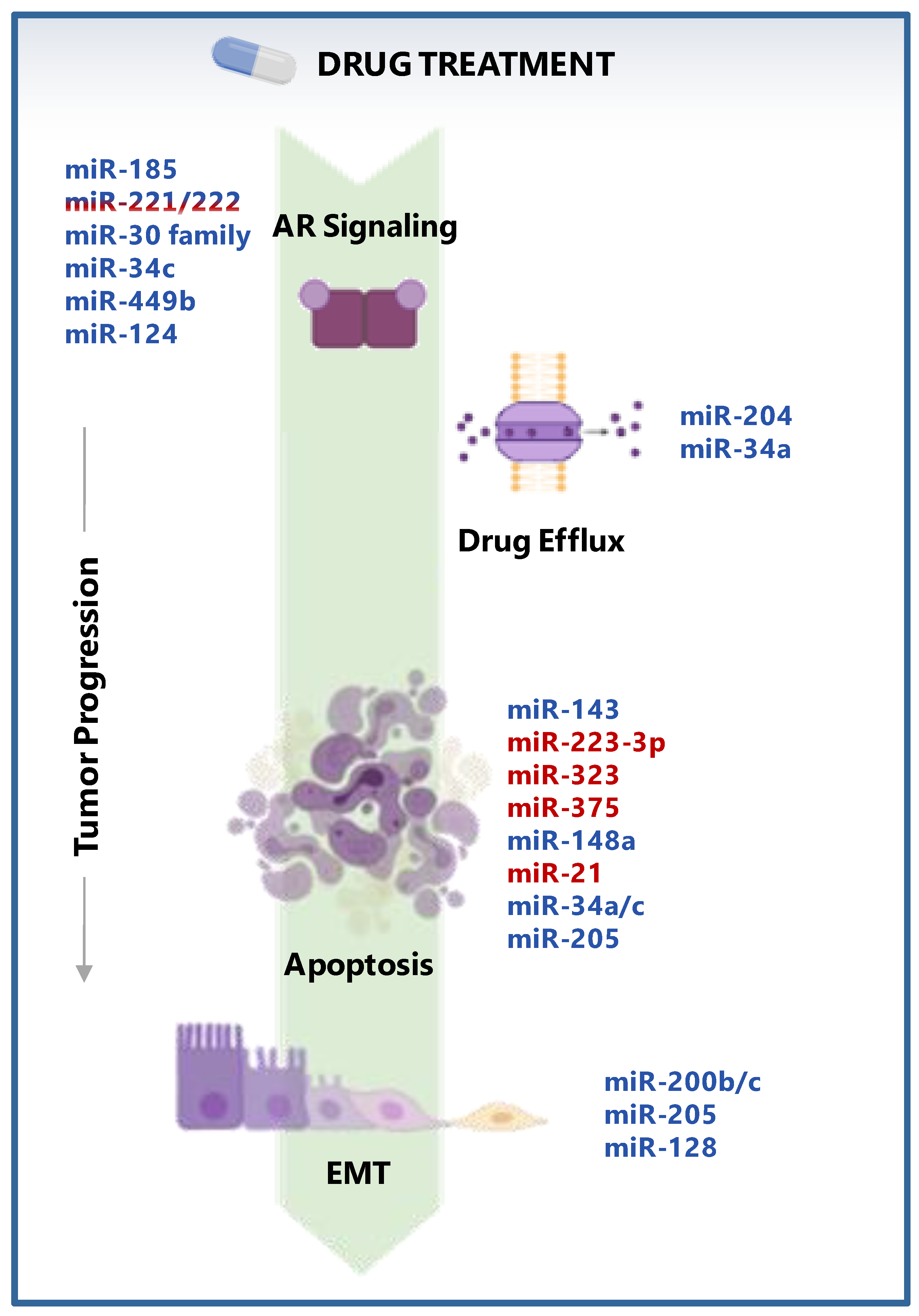 Cancers 13 02380 g002 Cancers 13 02380 g002
