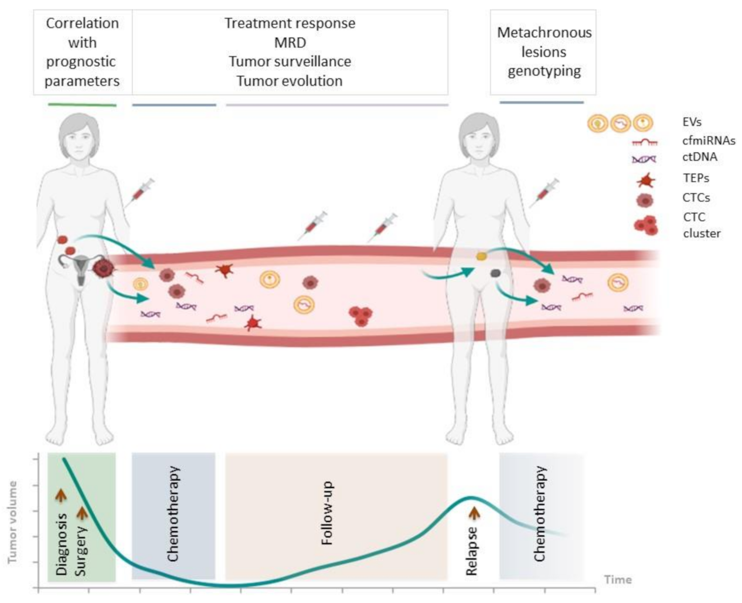 Cancers 13 02386 g001