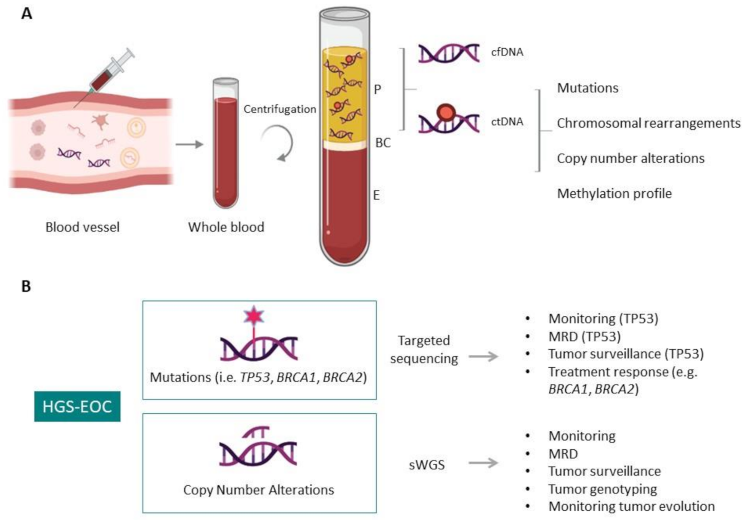 Cancers 13 02386 g002