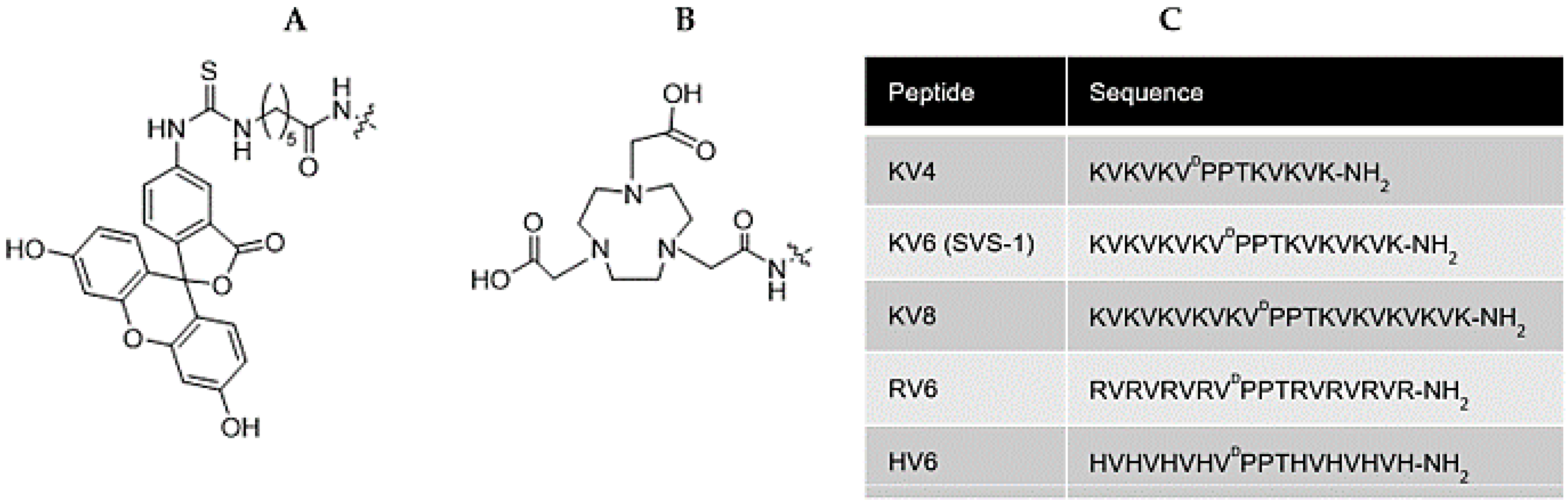Cancers 13 02388 g001