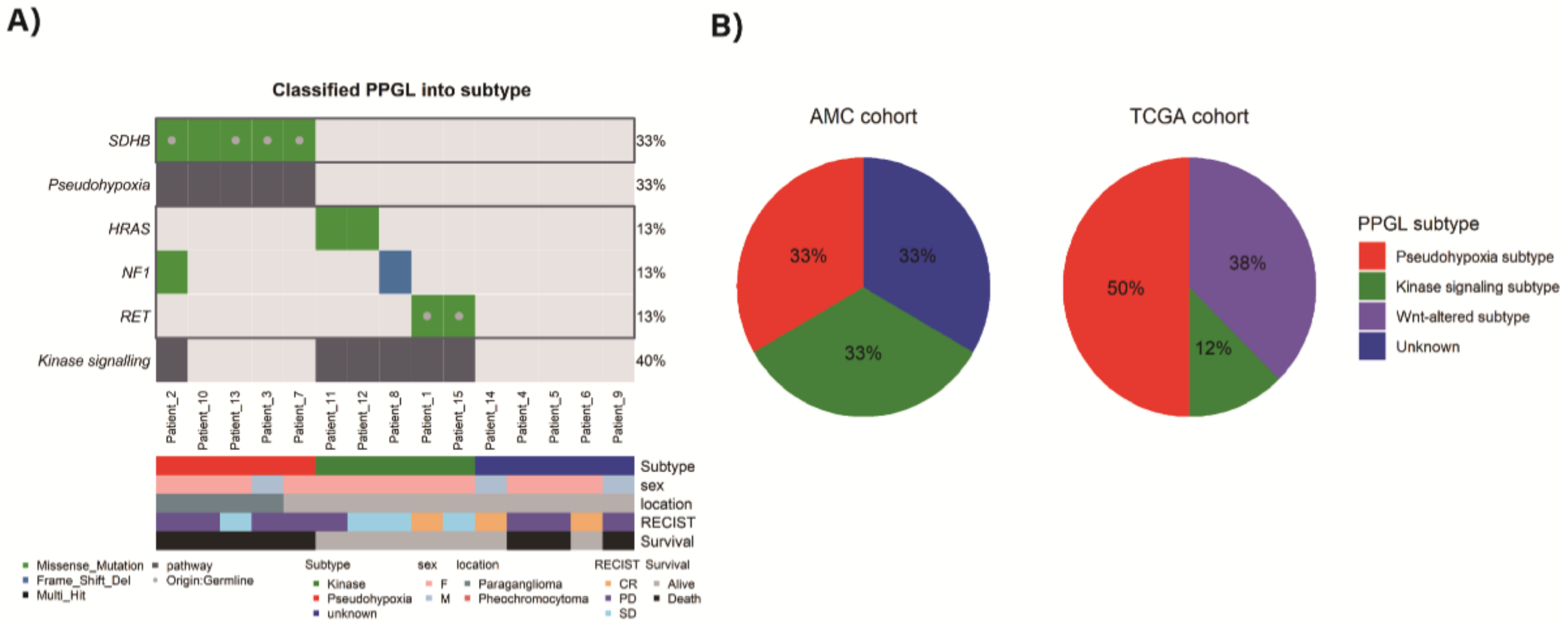 Cancers 13 02389 g002 Cancers 13 02389 g002