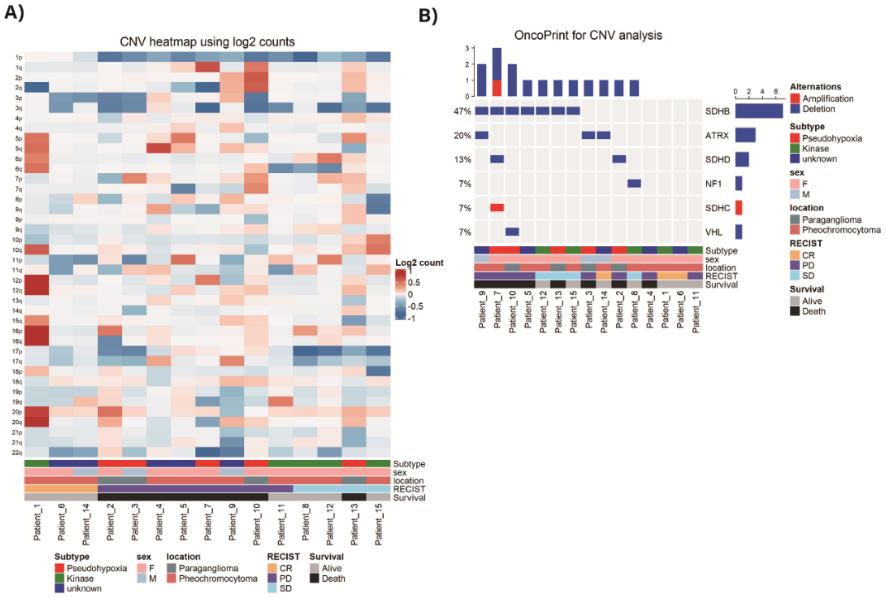 Cancers 13 02389 g003 Cancers 13 02389 g003