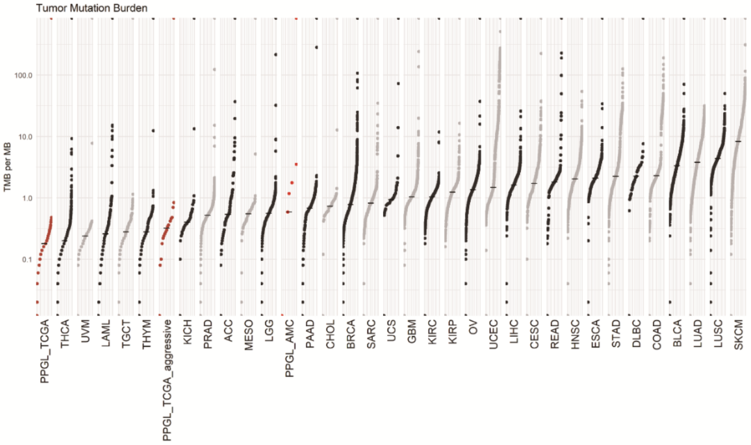 Cancers 13 02389 g004 Cancers 13 02389 g004
