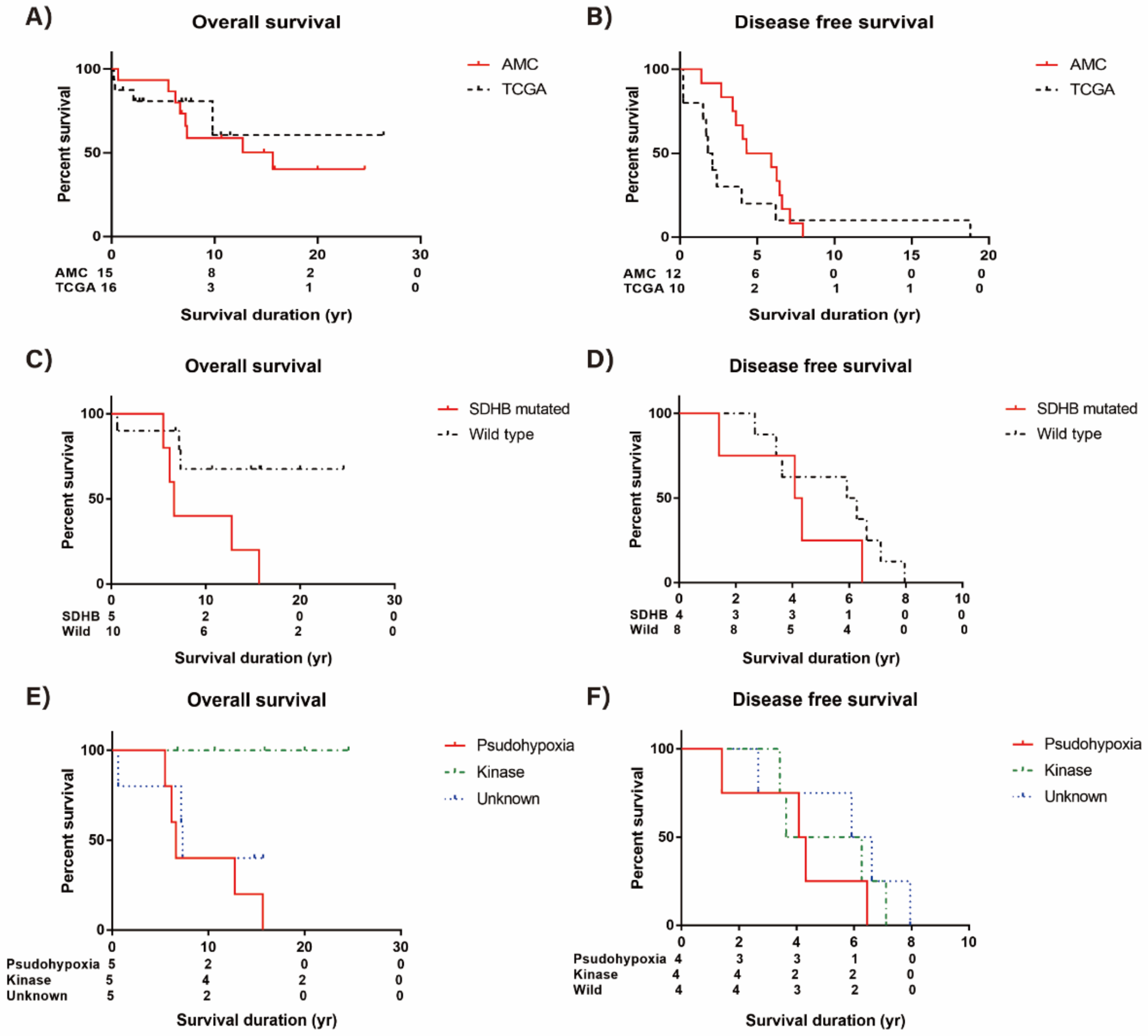 Cancers 13 02389 g005 Cancers 13 02389 g005