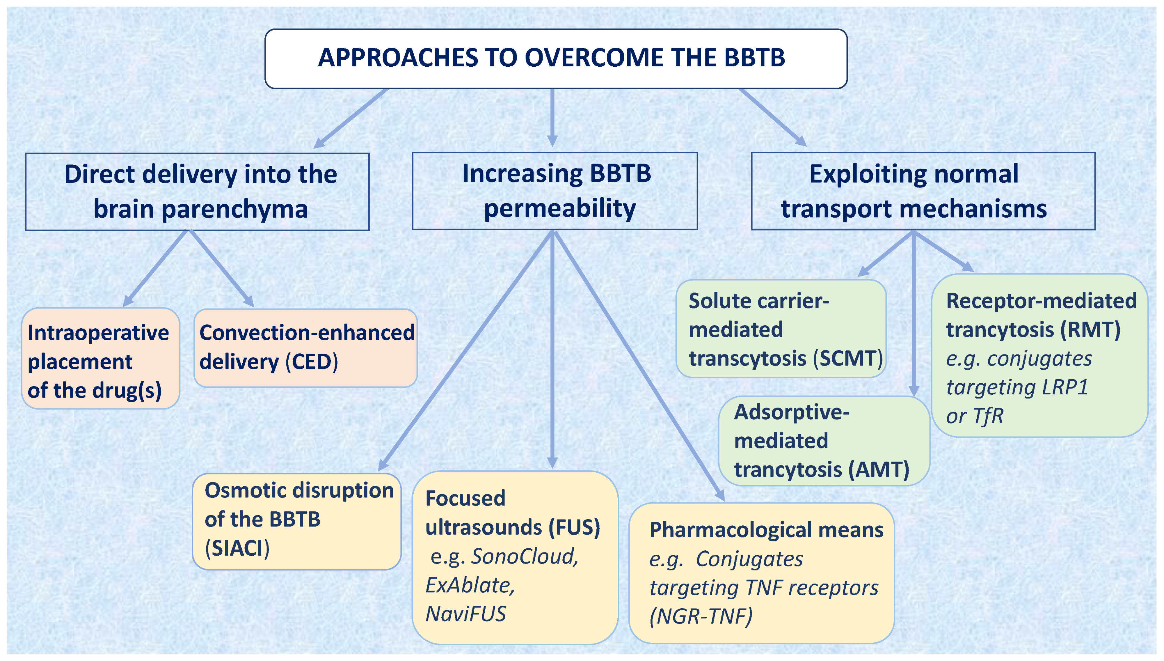Cancers 13 02391 g001