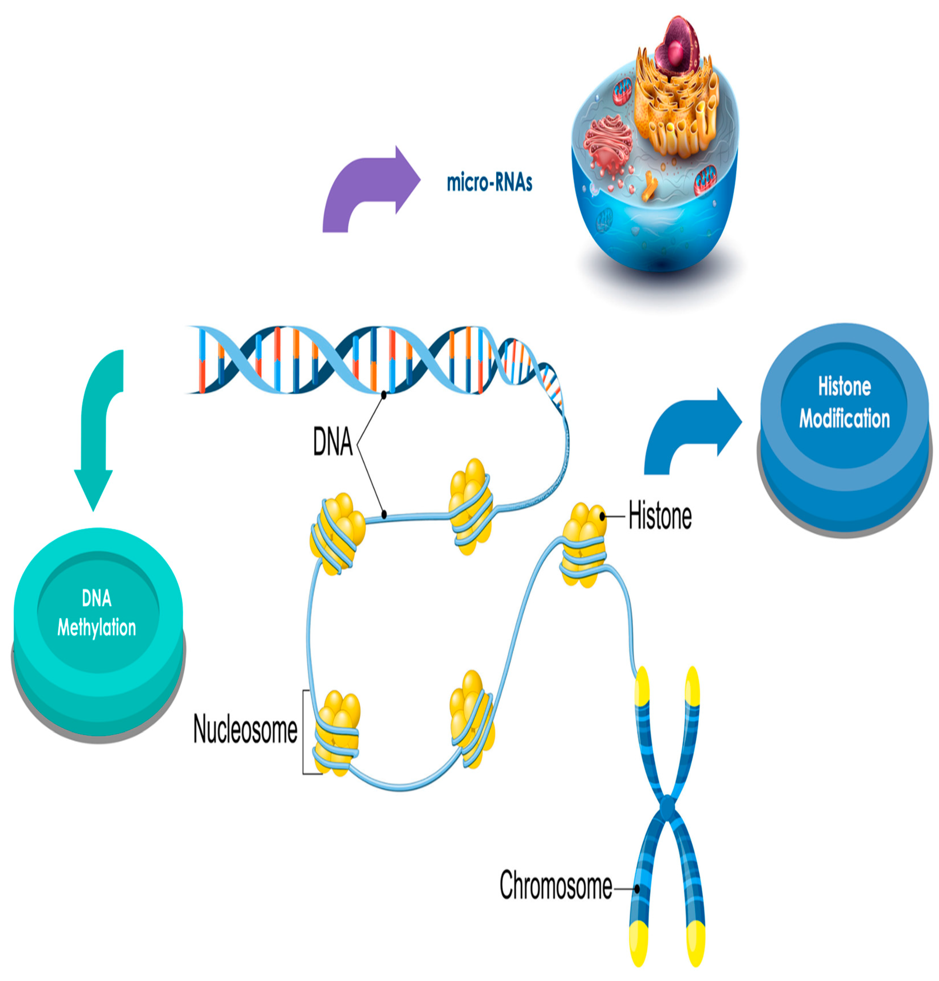 Cancers 13 02392 g003