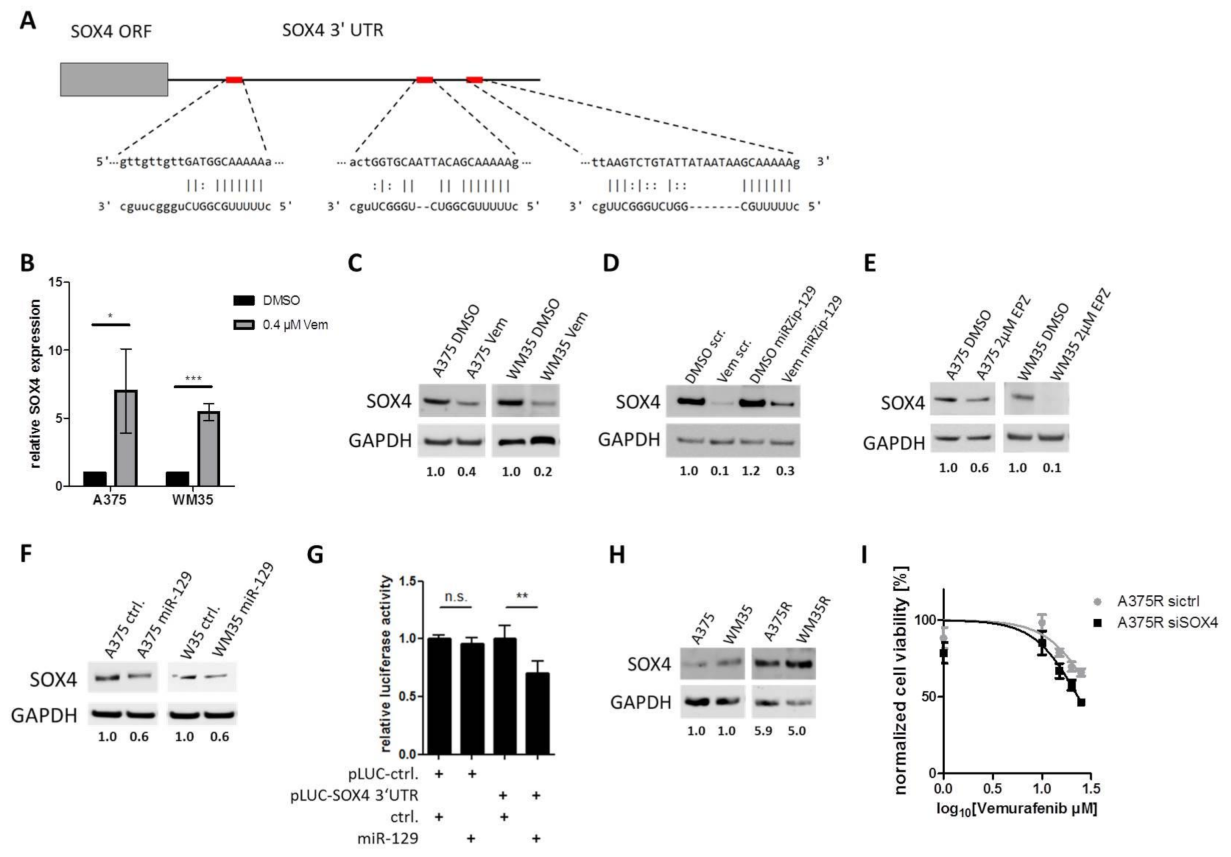 Cancers 13 02393 g005