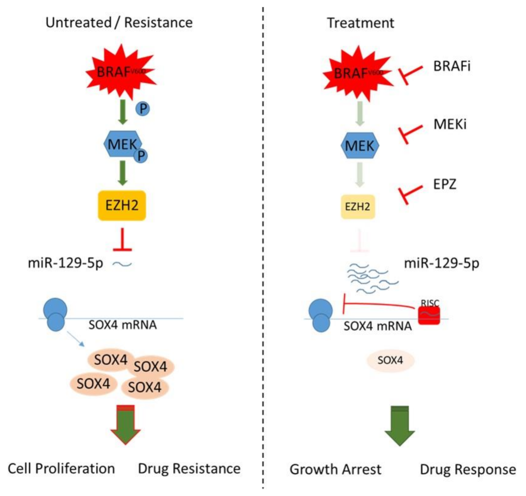 Cancers 13 02393 g006