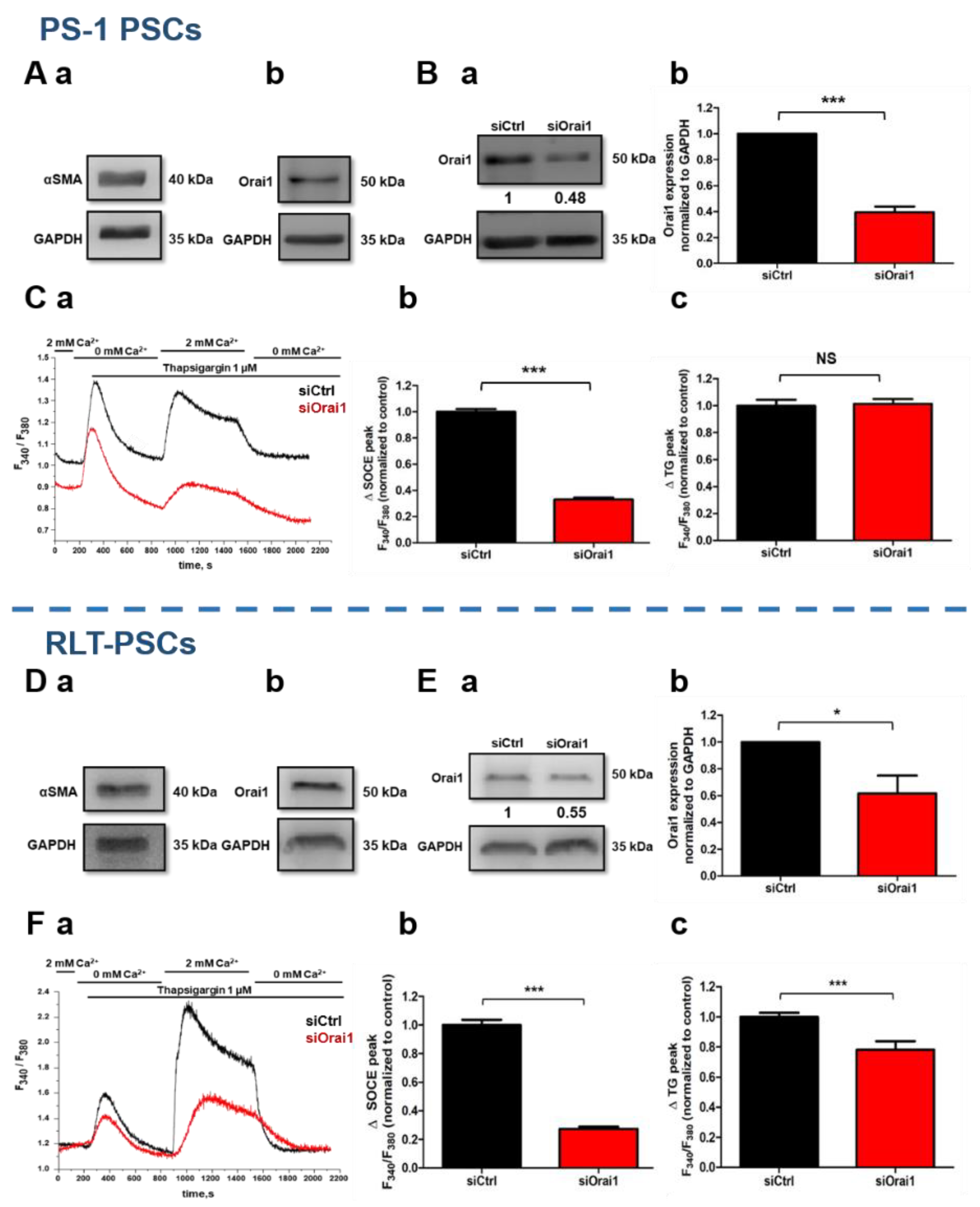 Cancers 13 02395 g001 Cancers 13 02395 g001