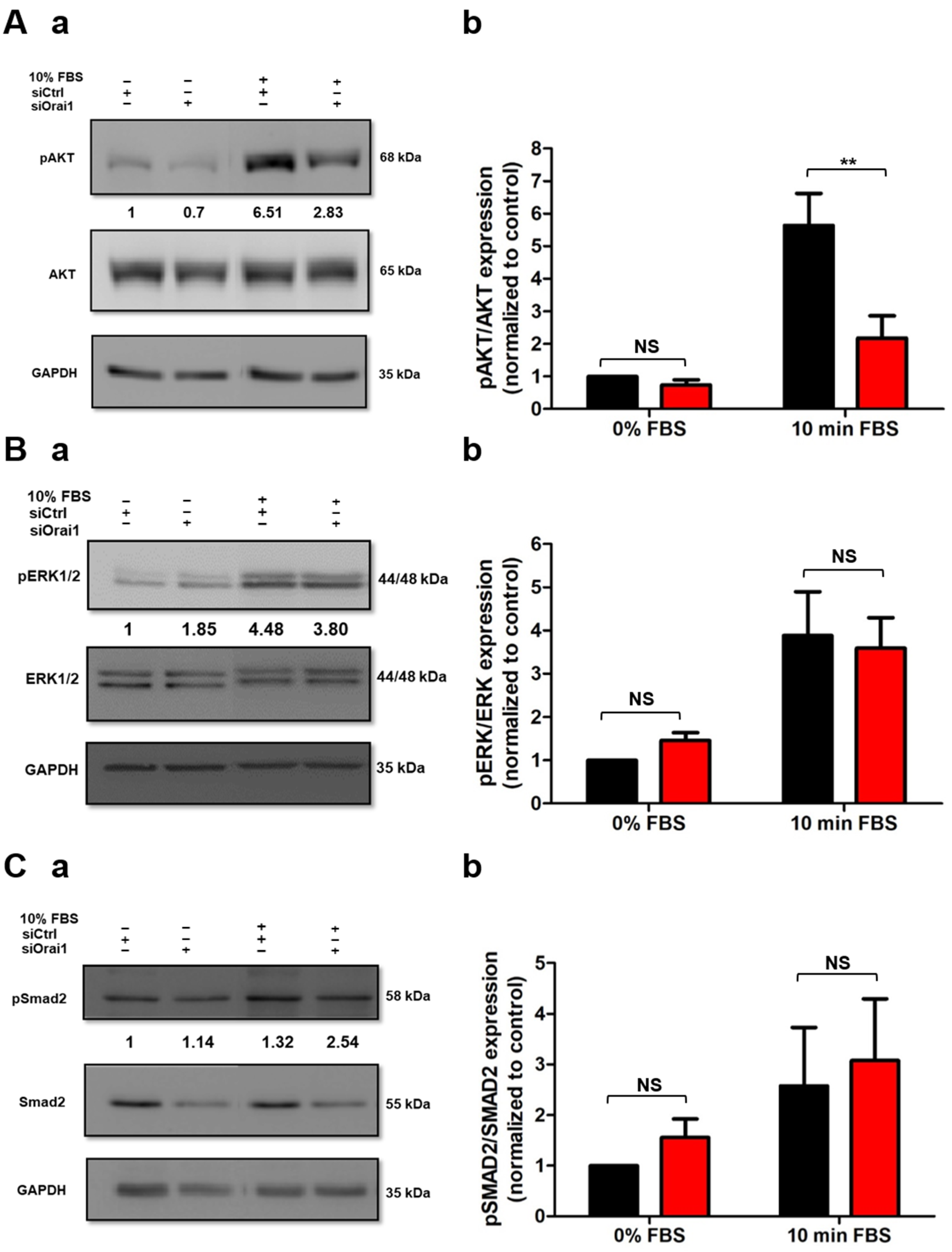 Cancers 13 02395 g003 Cancers 13 02395 g003