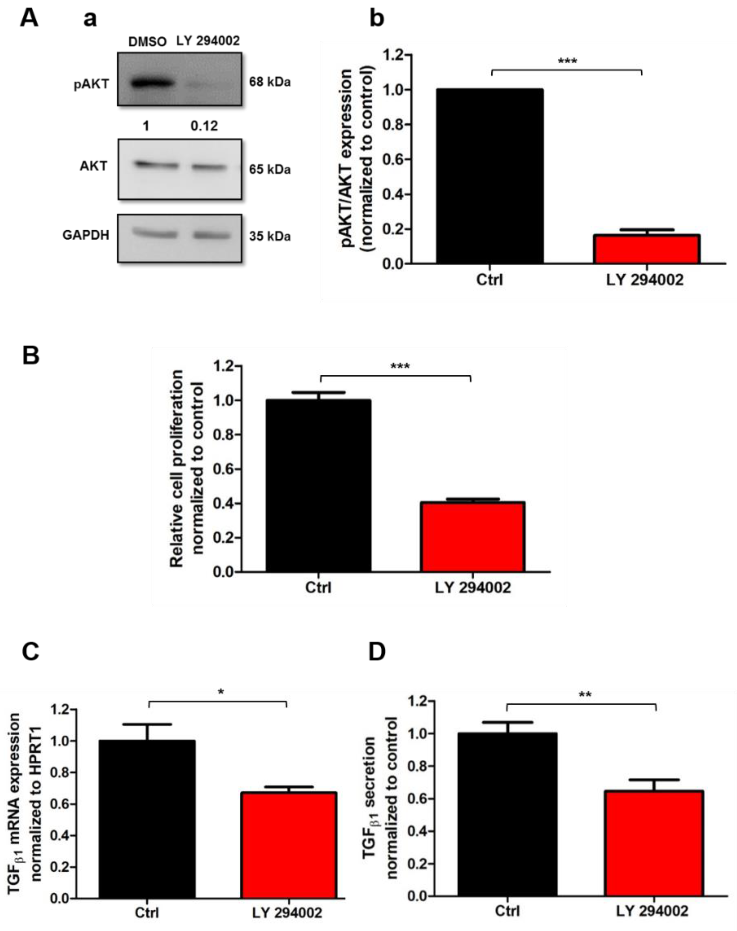 Cancers 13 02395 g004 Cancers 13 02395 g004