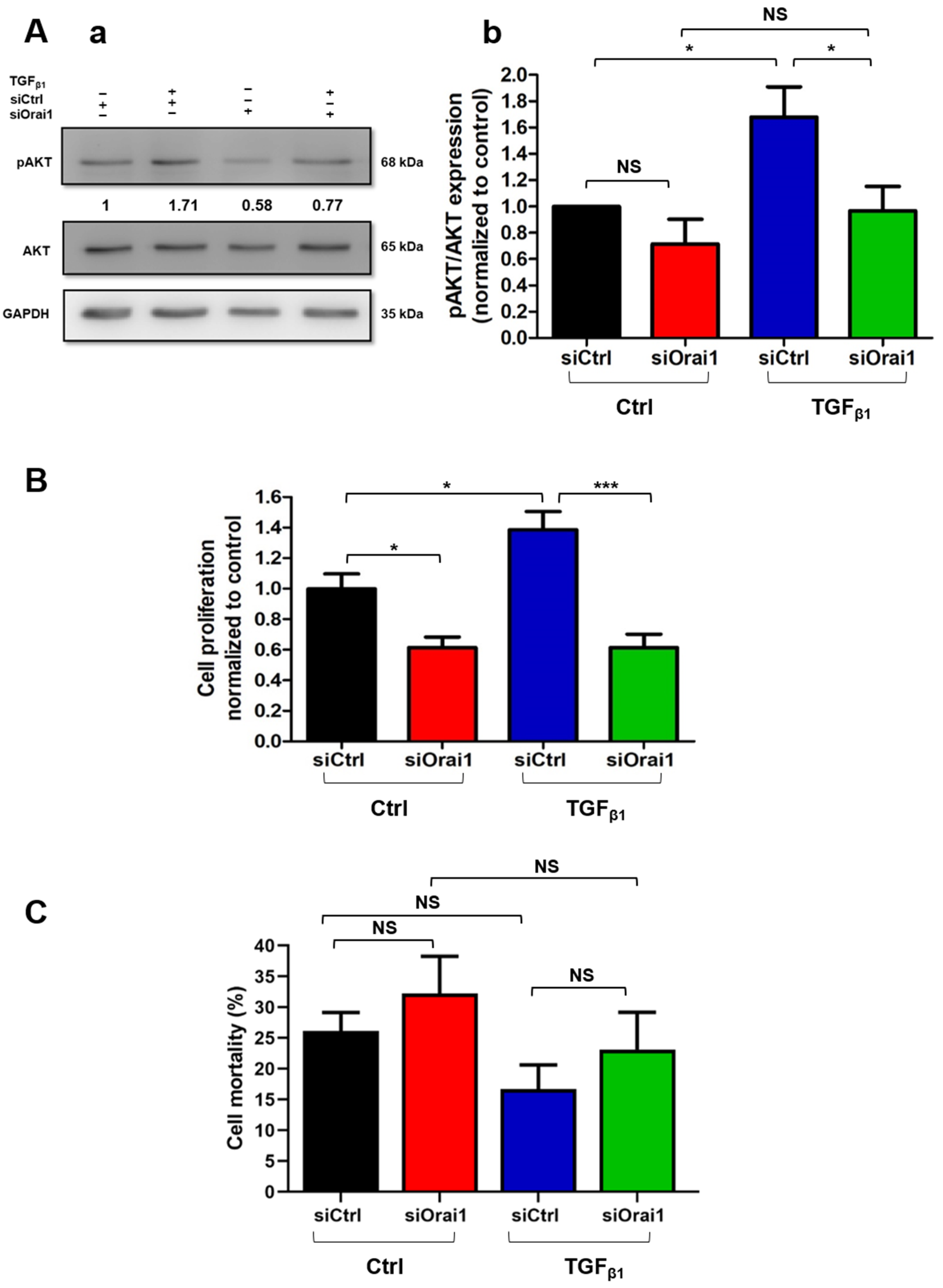 Cancers 13 02395 g006 Cancers 13 02395 g006
