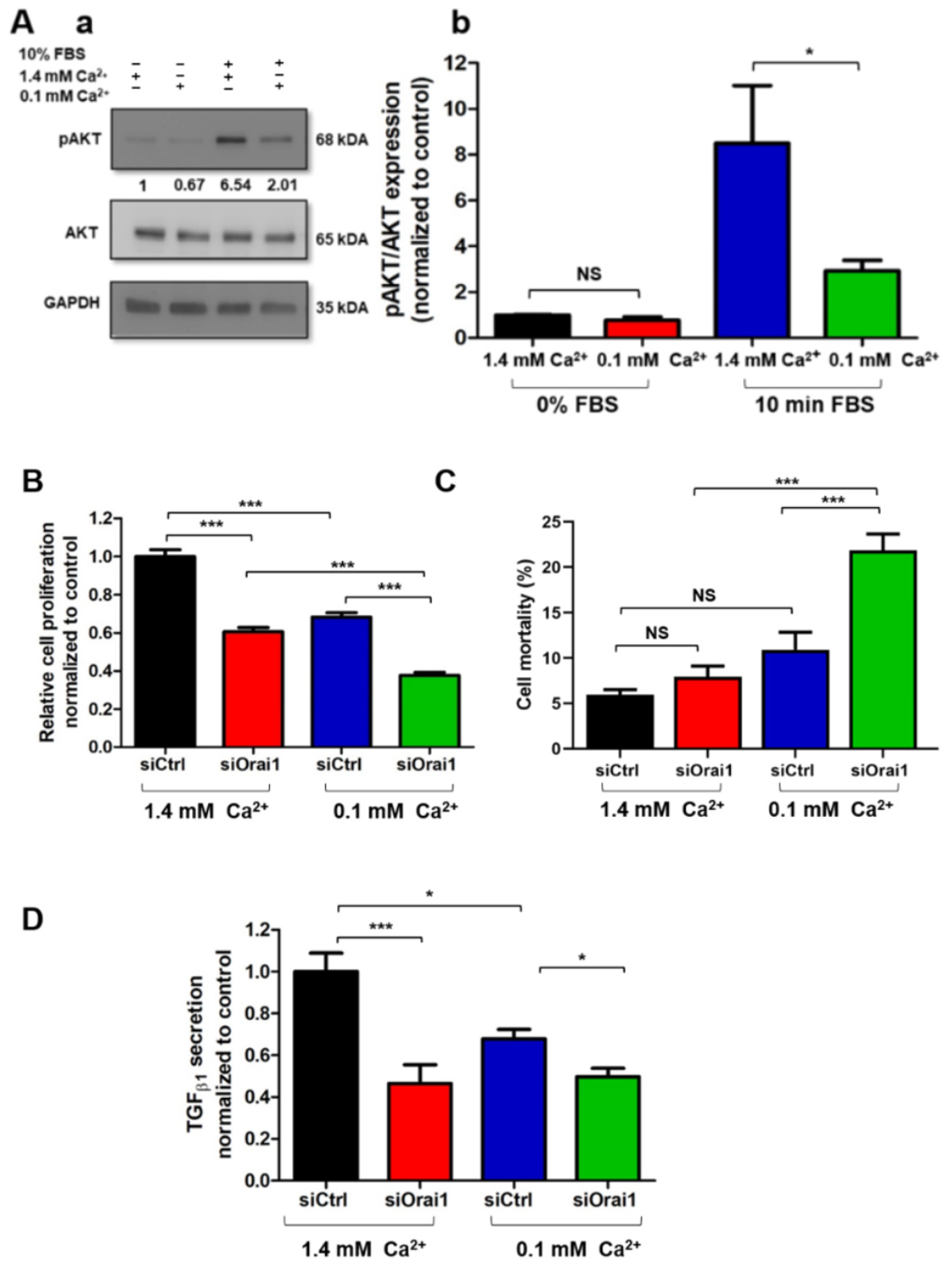 Cancers 13 02395 g007 Cancers 13 02395 g007