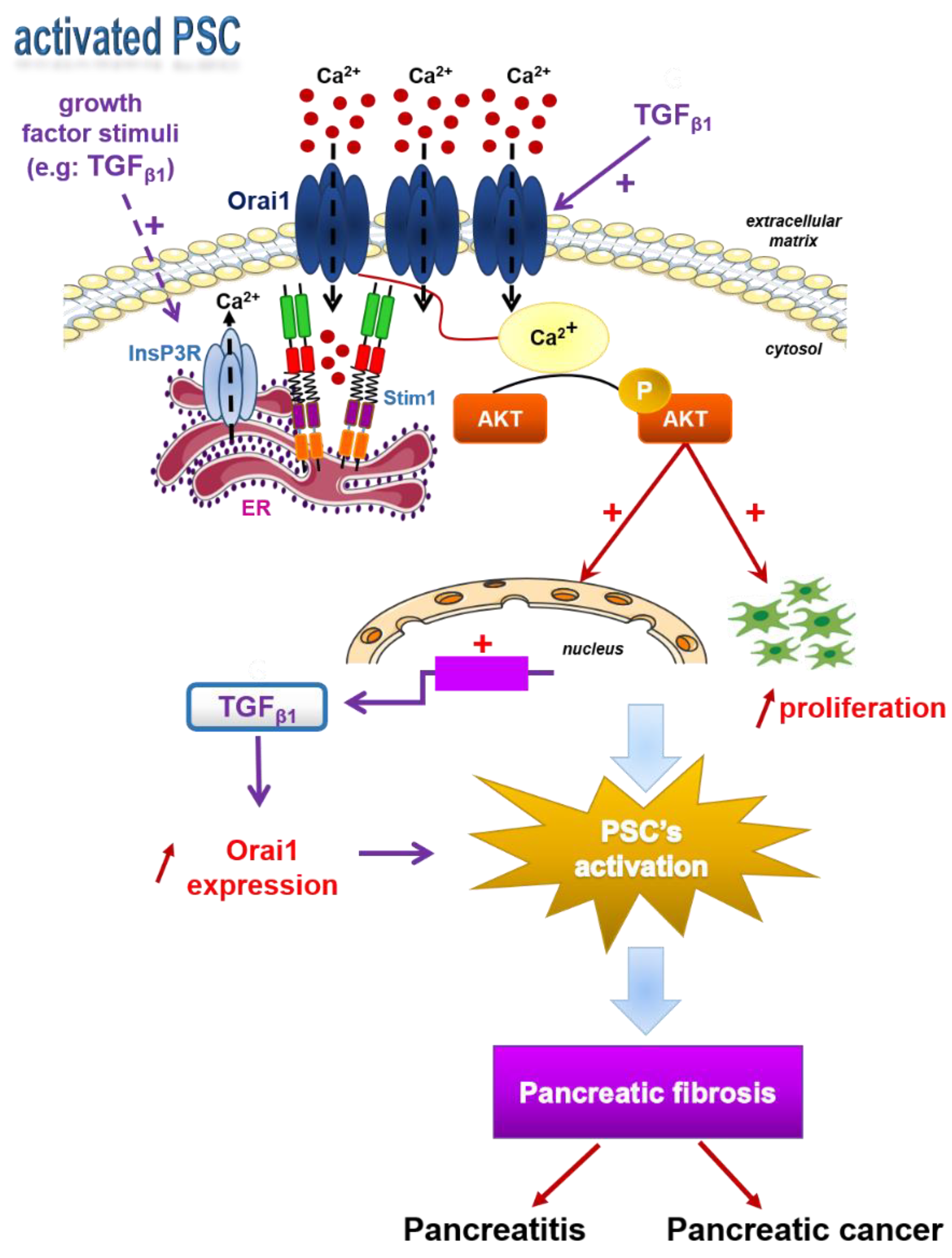 Cancers 13 02395 g008 Cancers 13 02395 g008