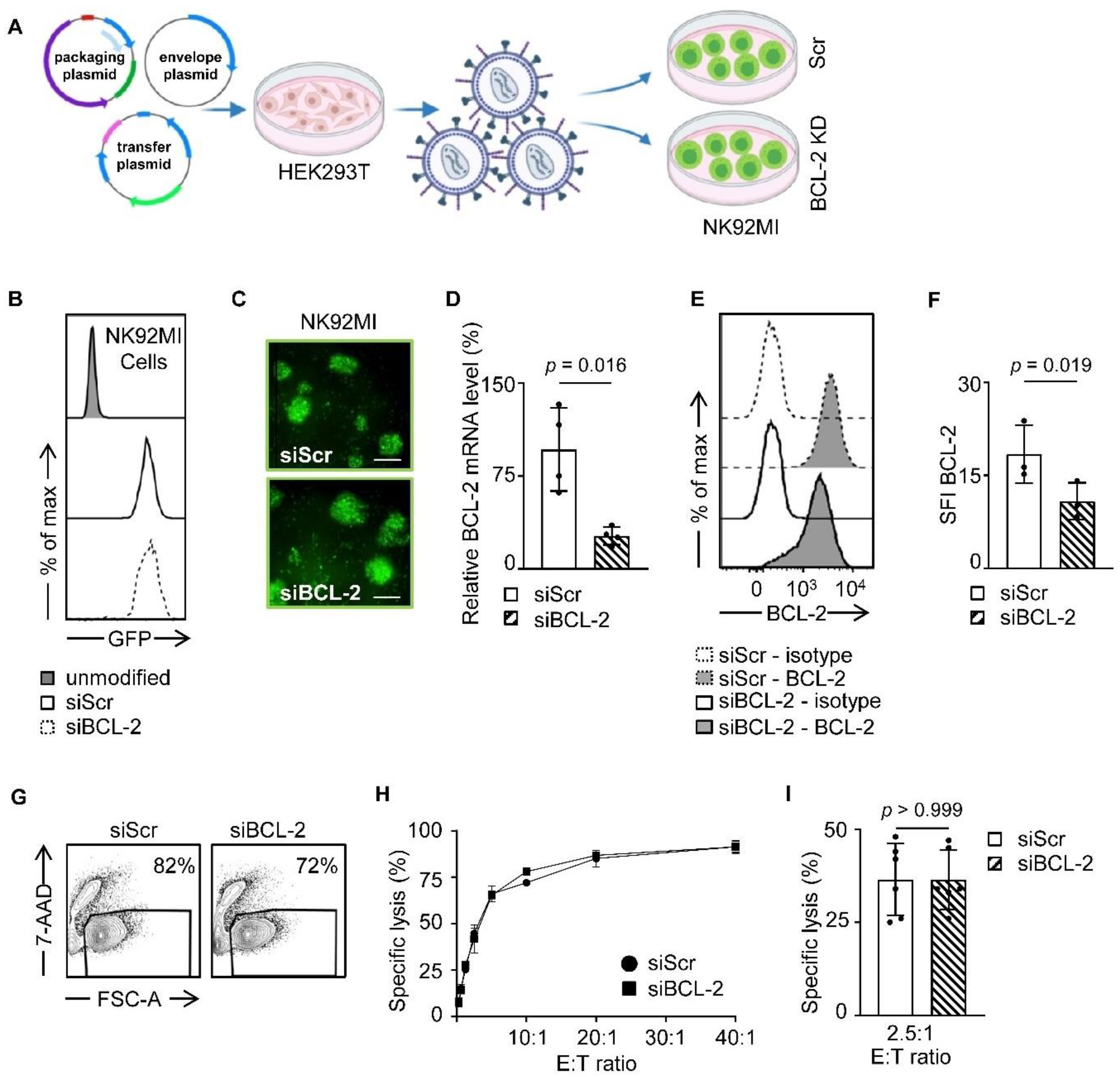 Cancers 13 02397 g001