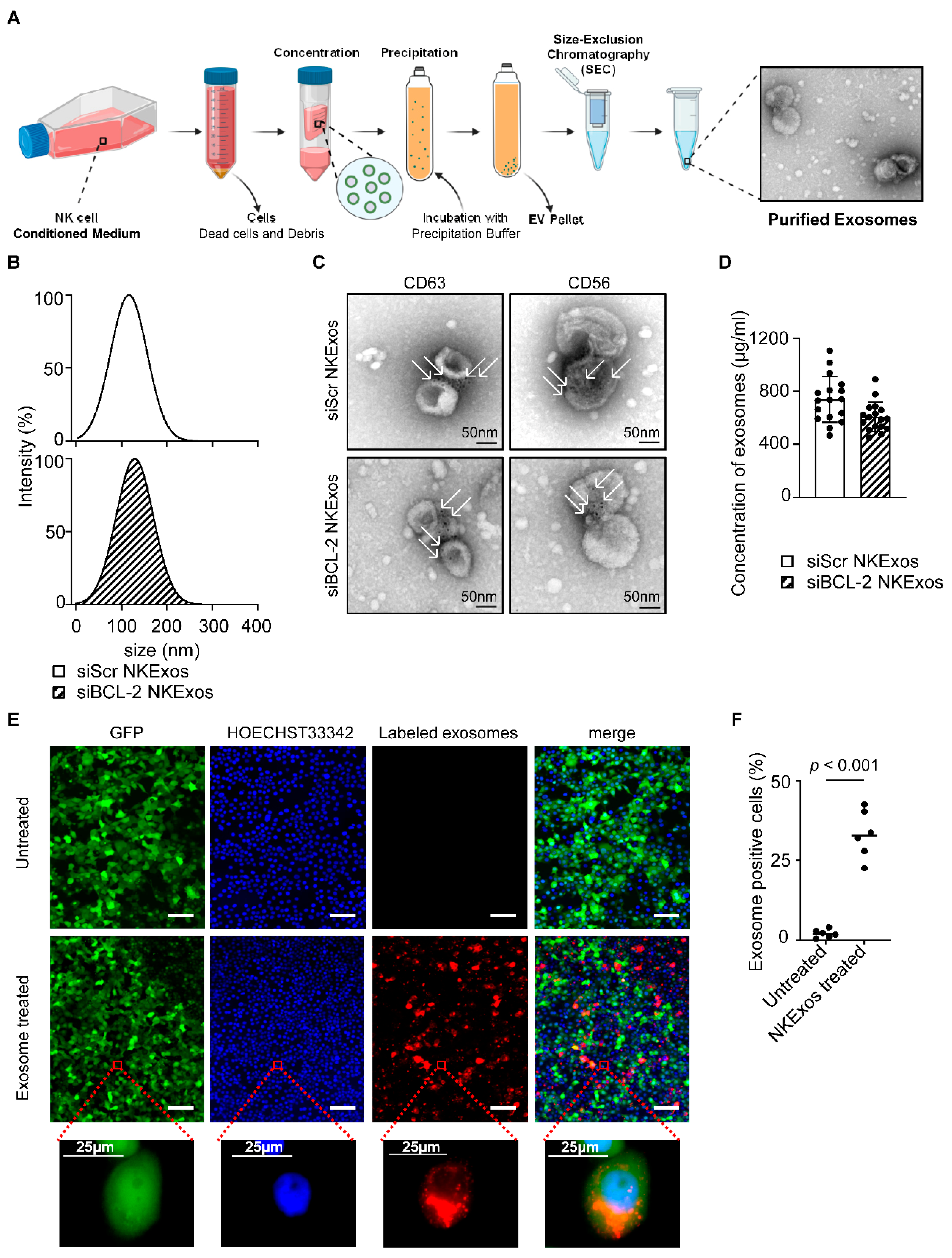 Cancers 13 02397 g002