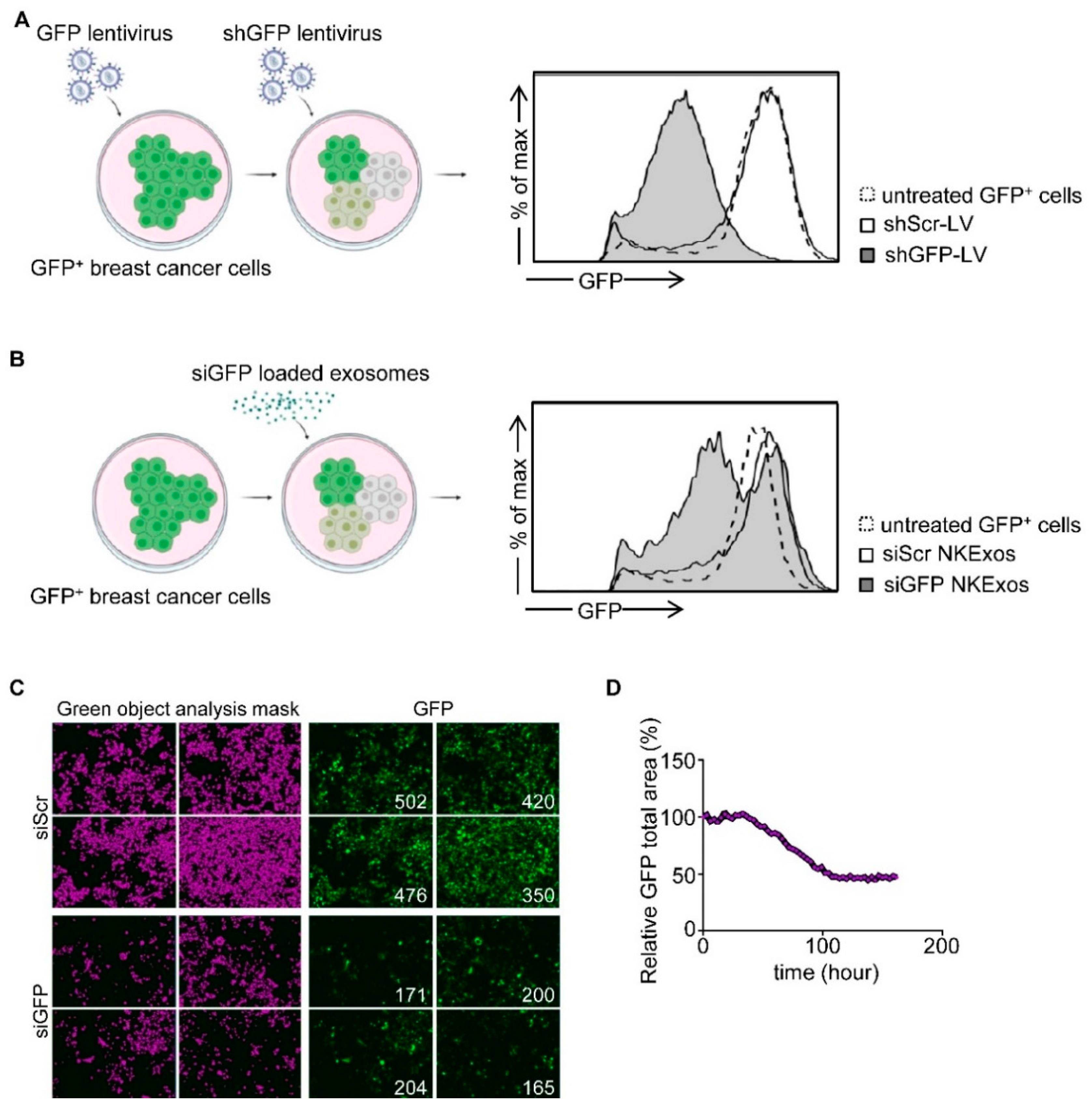 Cancers 13 02397 g003