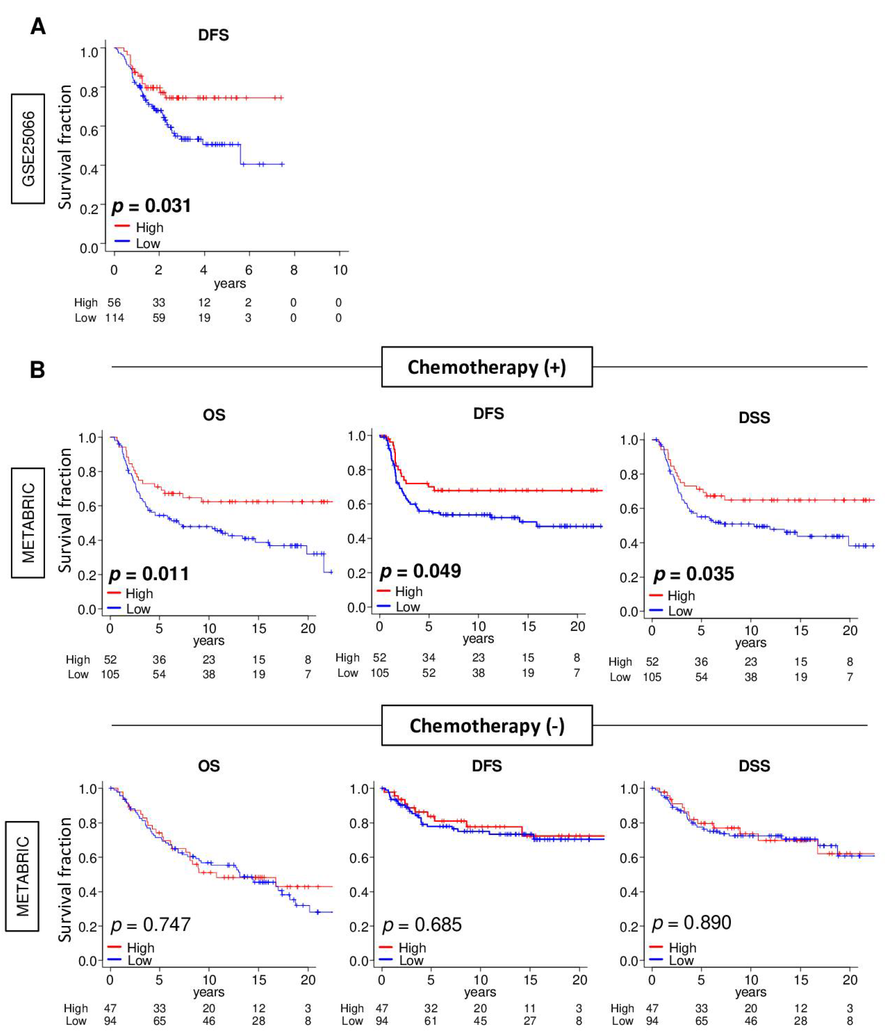 Cancers 13 02401 g007