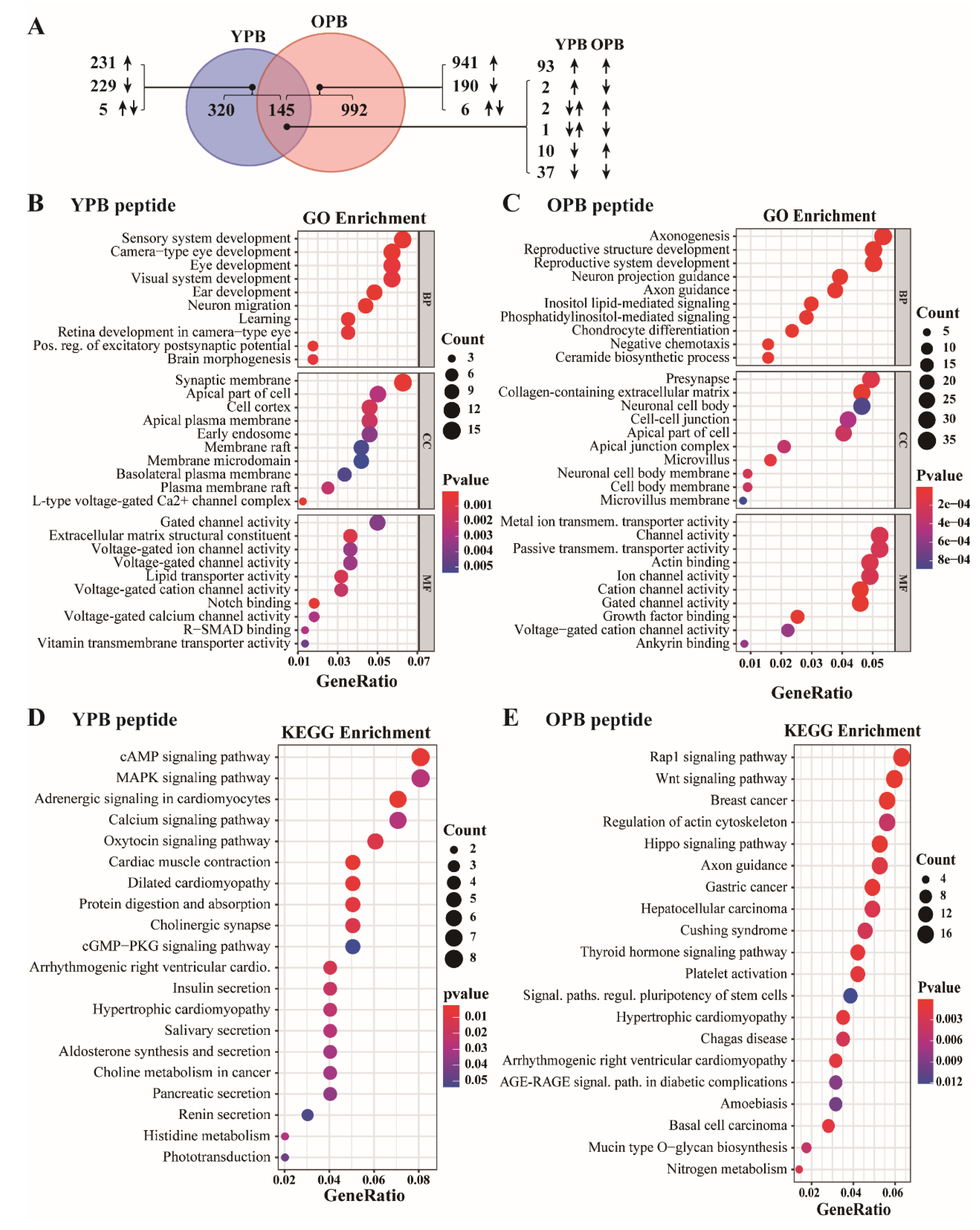 Cancers 13 02402 g006 Cancers 13 02402 g006