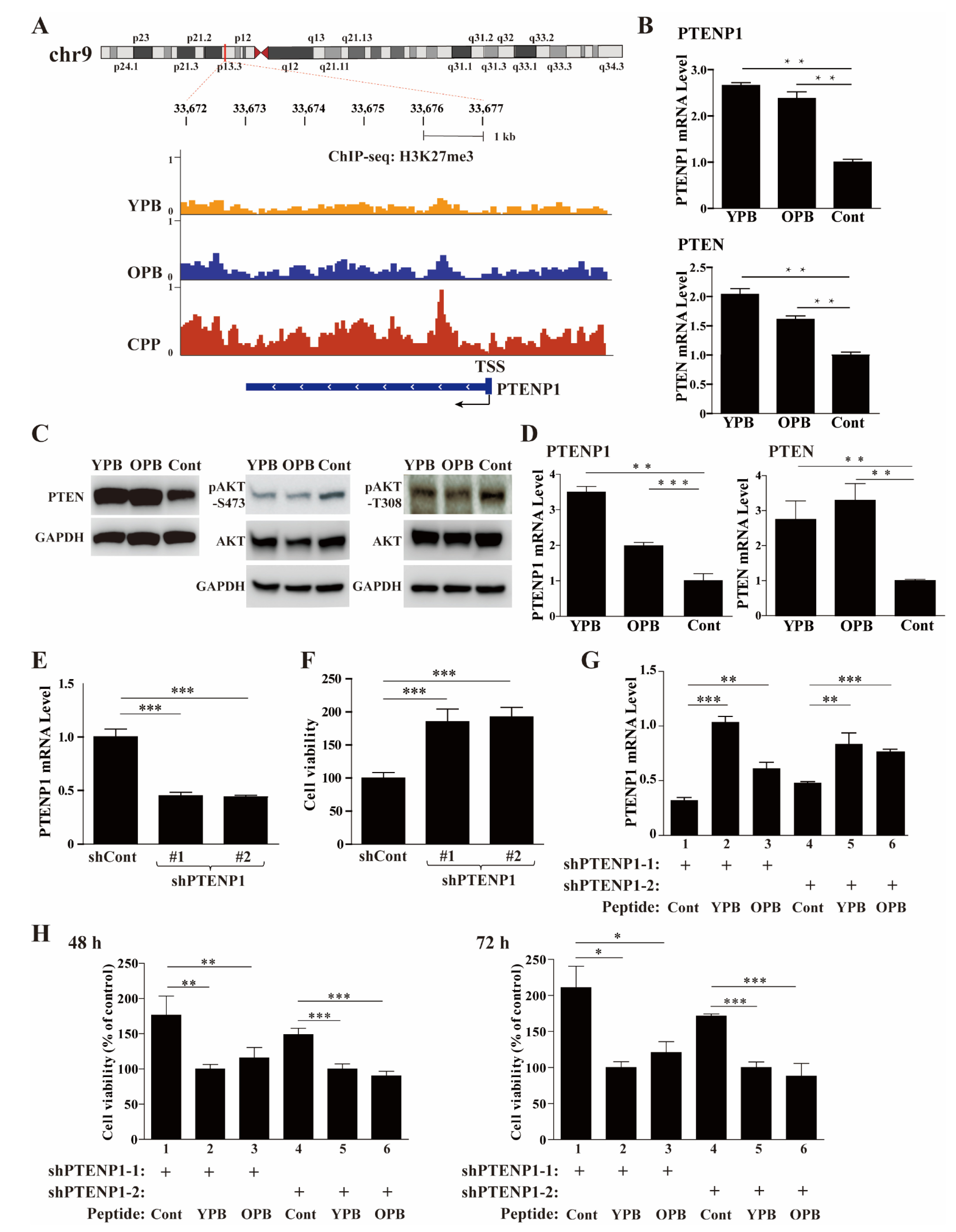 Cancers 13 02402 g007 Cancers 13 02402 g007