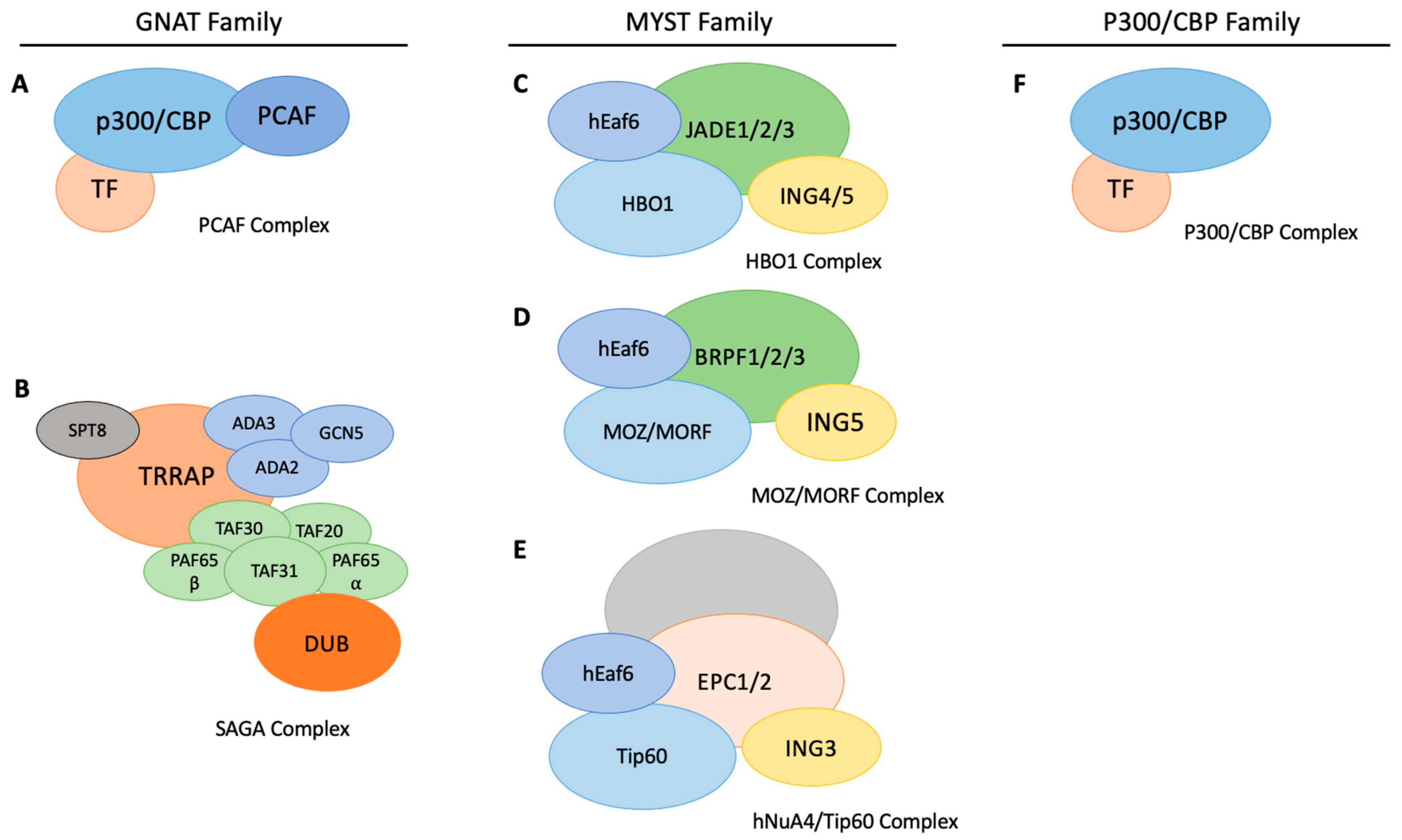Cancers 13 02407 g001
