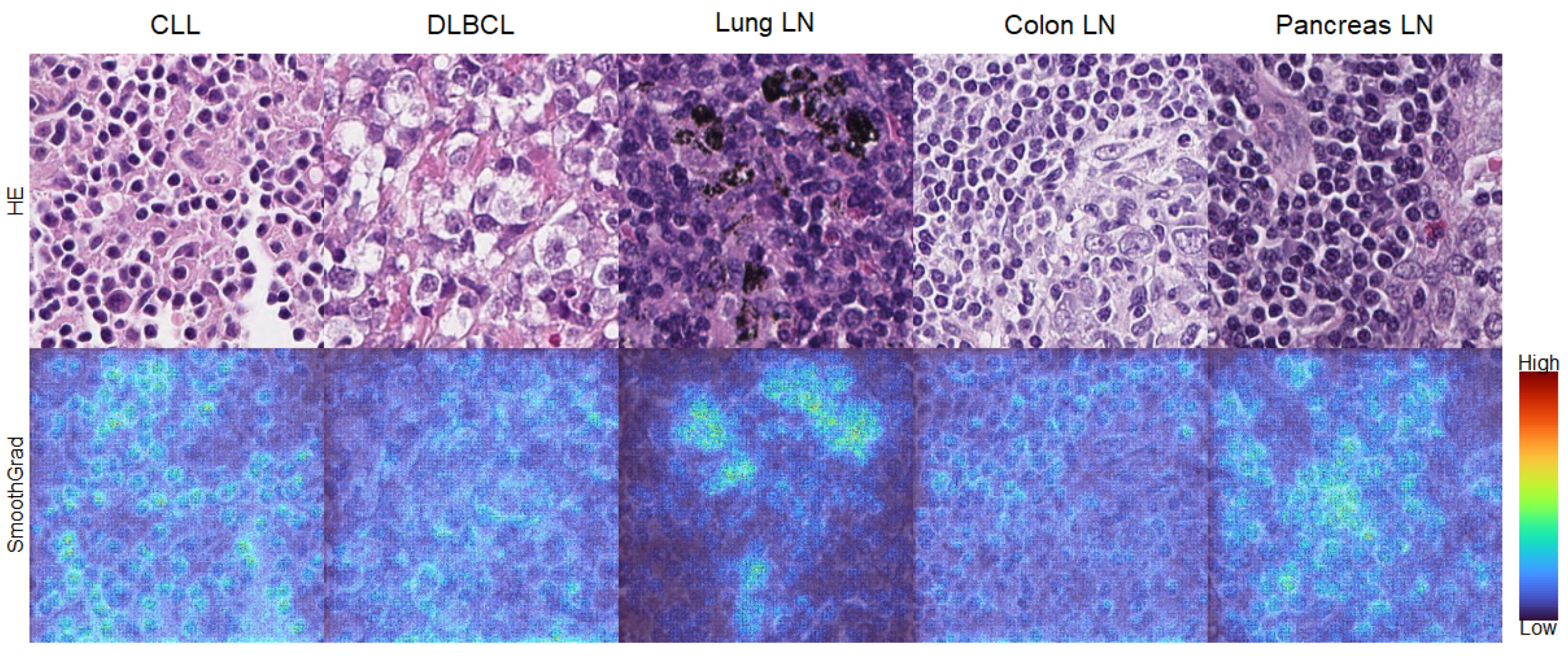 Cancers 13 02419 g005