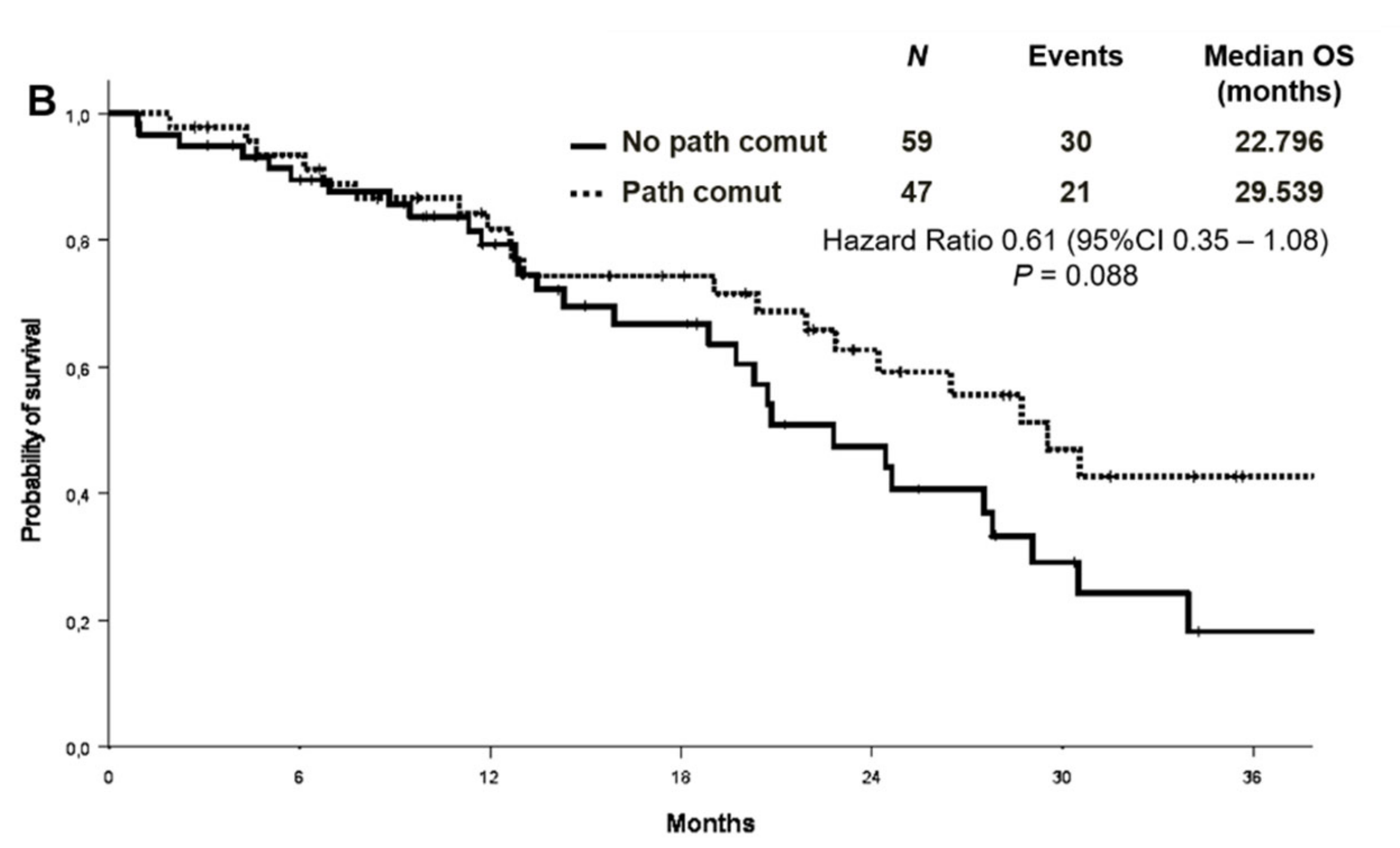 Cancers 13 02425 g004b
