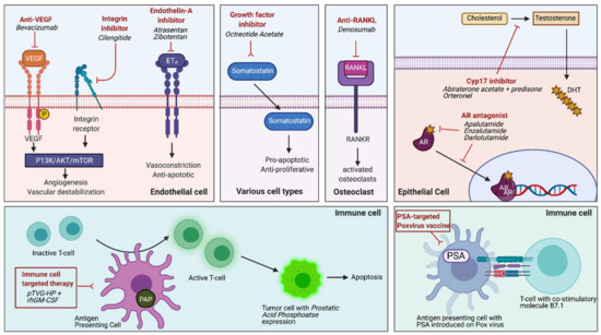 Cancers 13 02426 g001