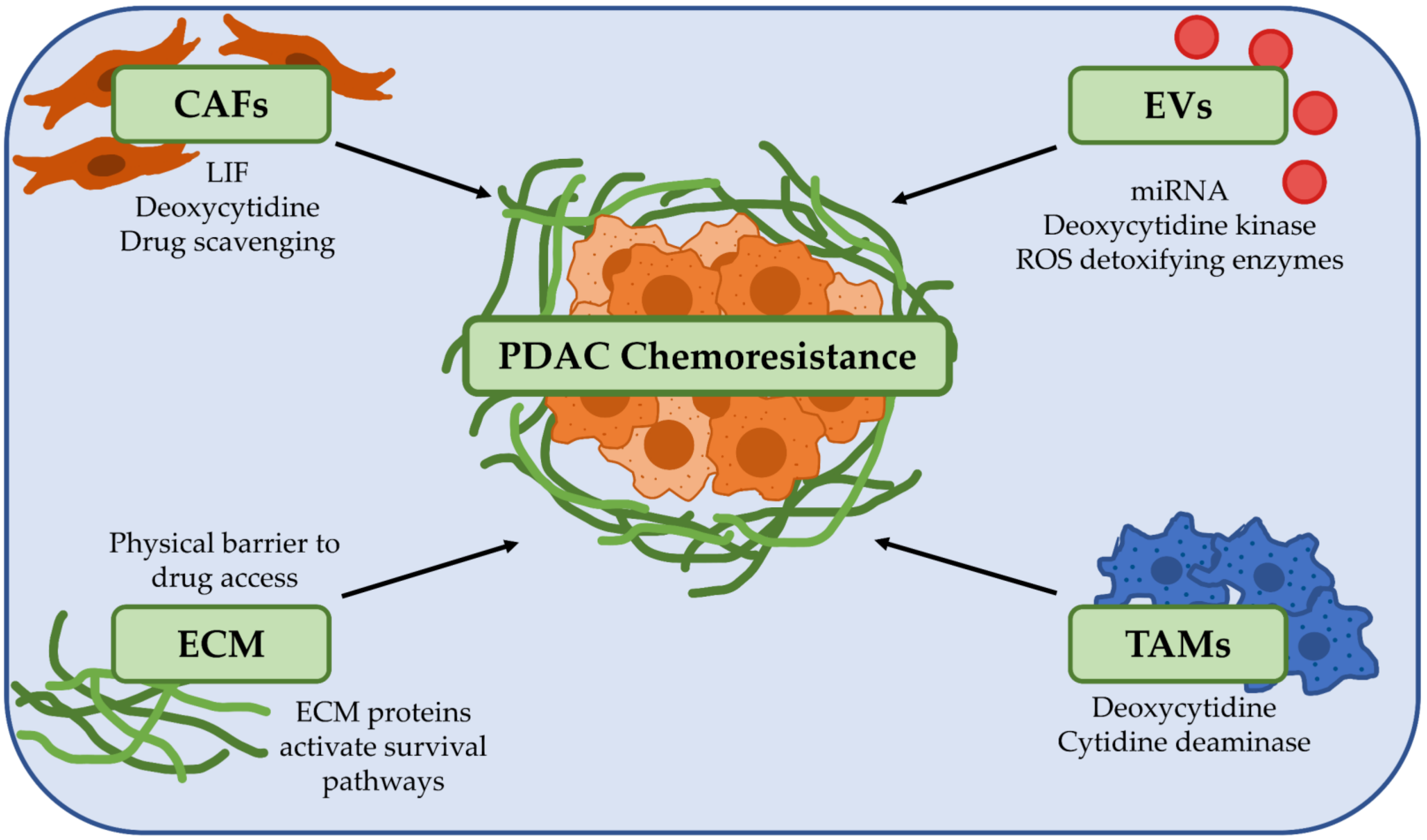 Cancers 13 02427 g001
