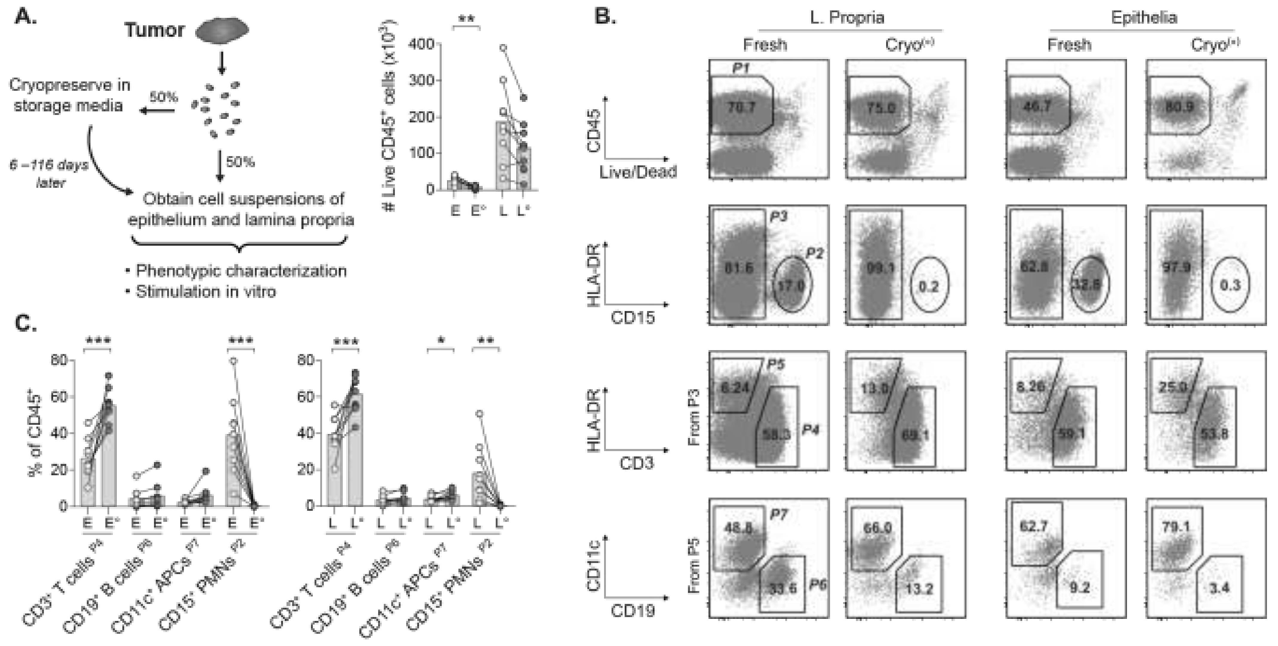 Cancers 13 02428 g001