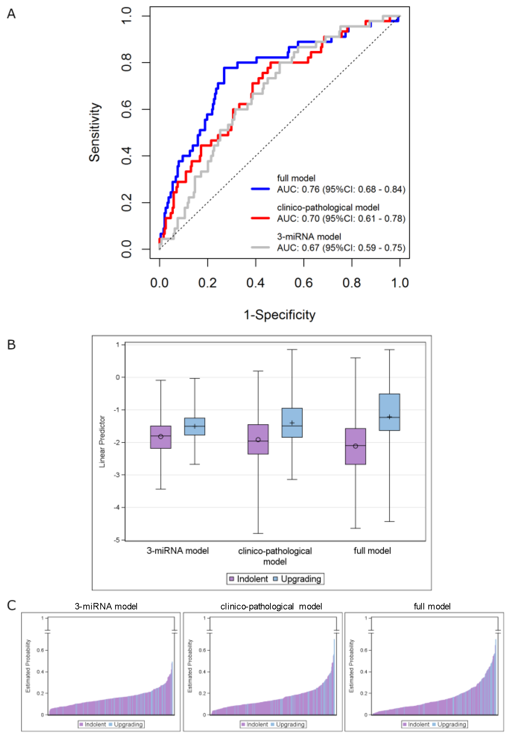 Cancers 13 02433 g003 Cancers 13 02433 g003