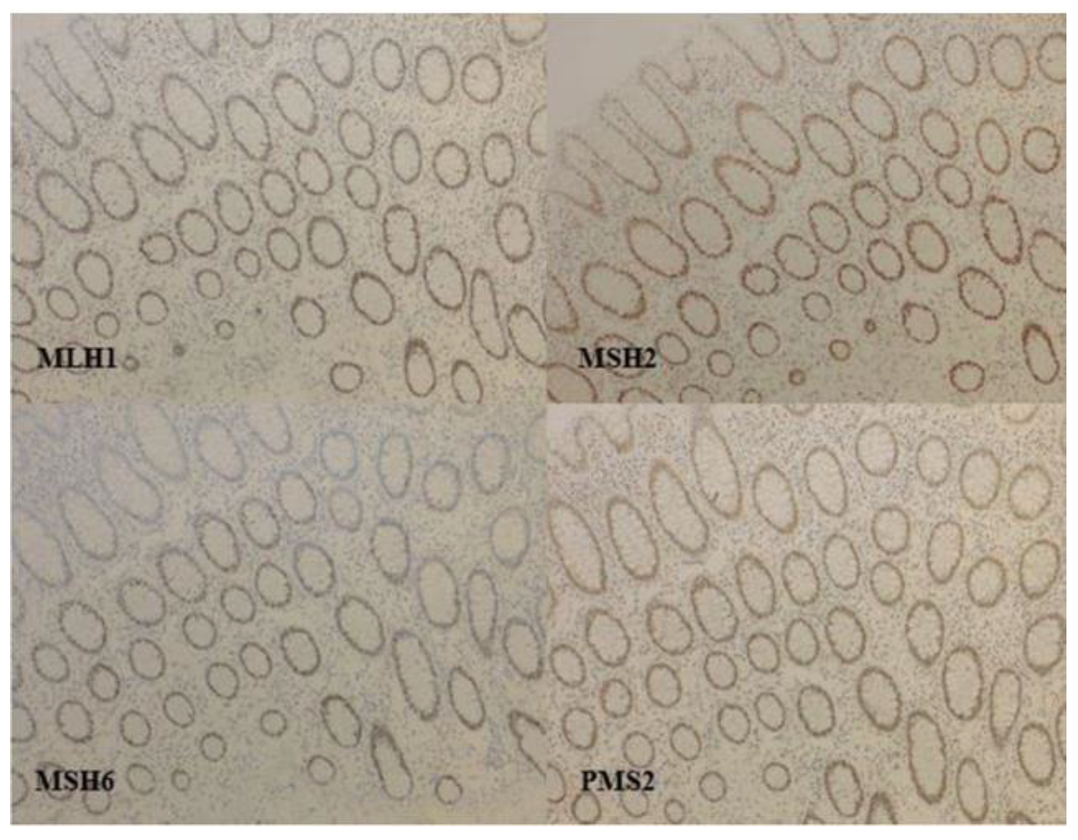 Cancers 13 02434 g001 Cancers 13 02434 g001