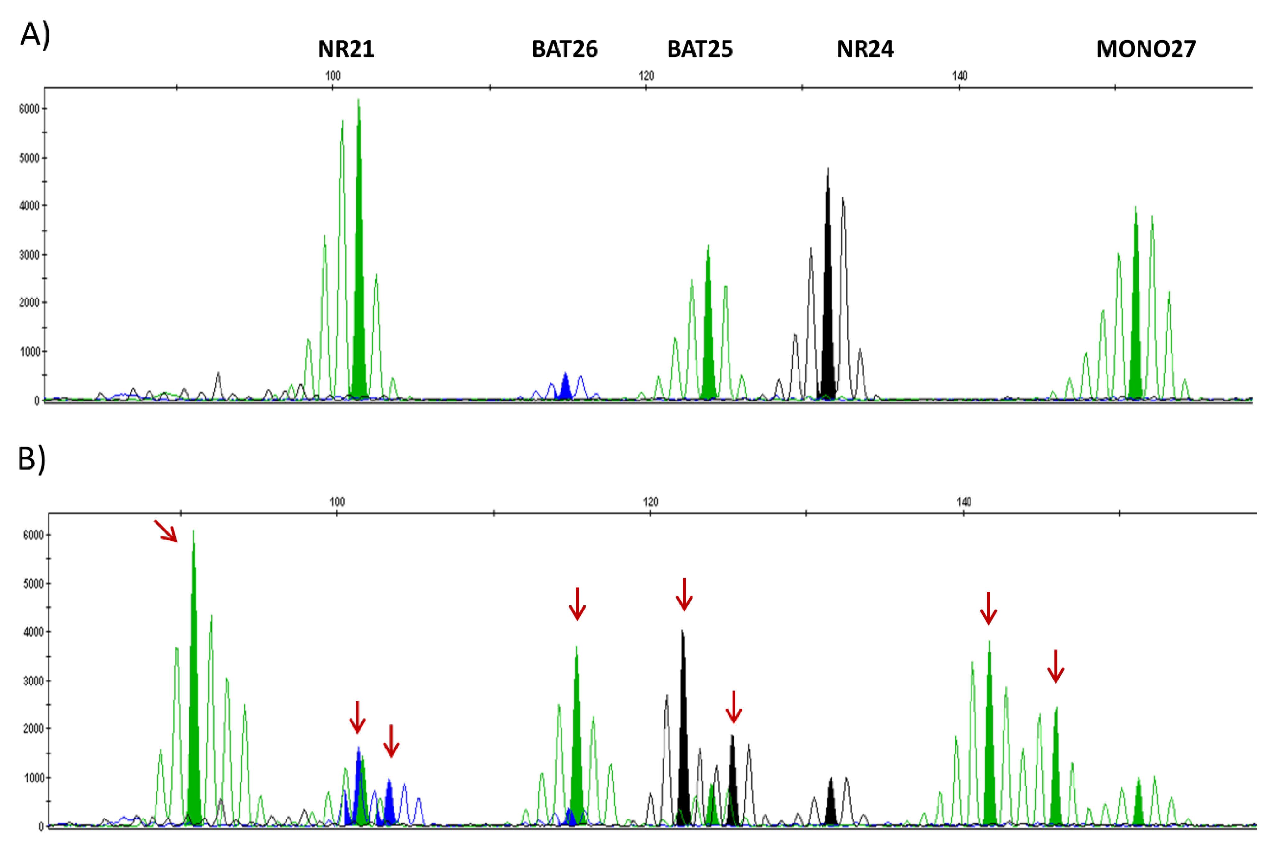 Cancers 13 02434 g002 Cancers 13 02434 g002