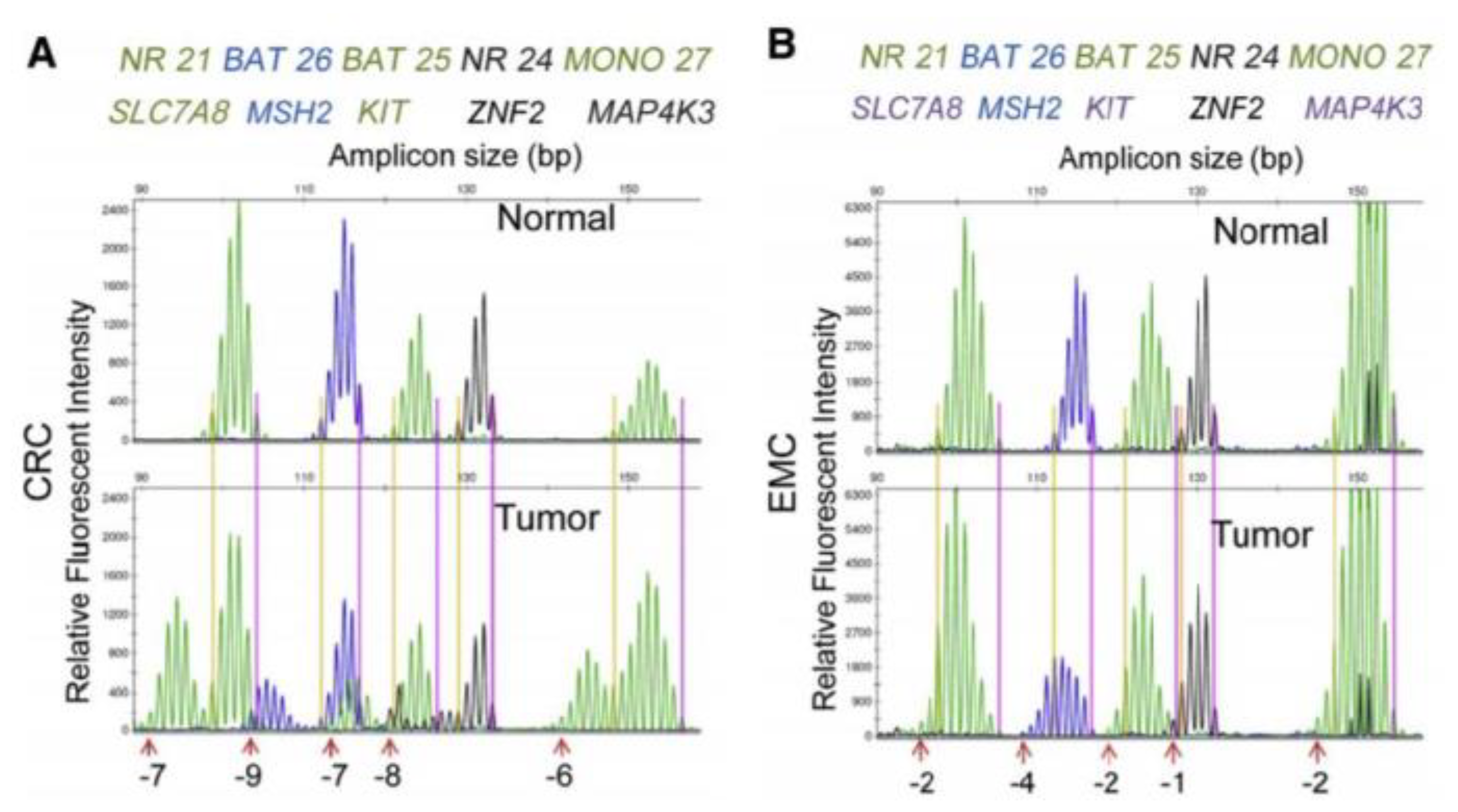 Cancers 13 02434 g003 Cancers 13 02434 g003