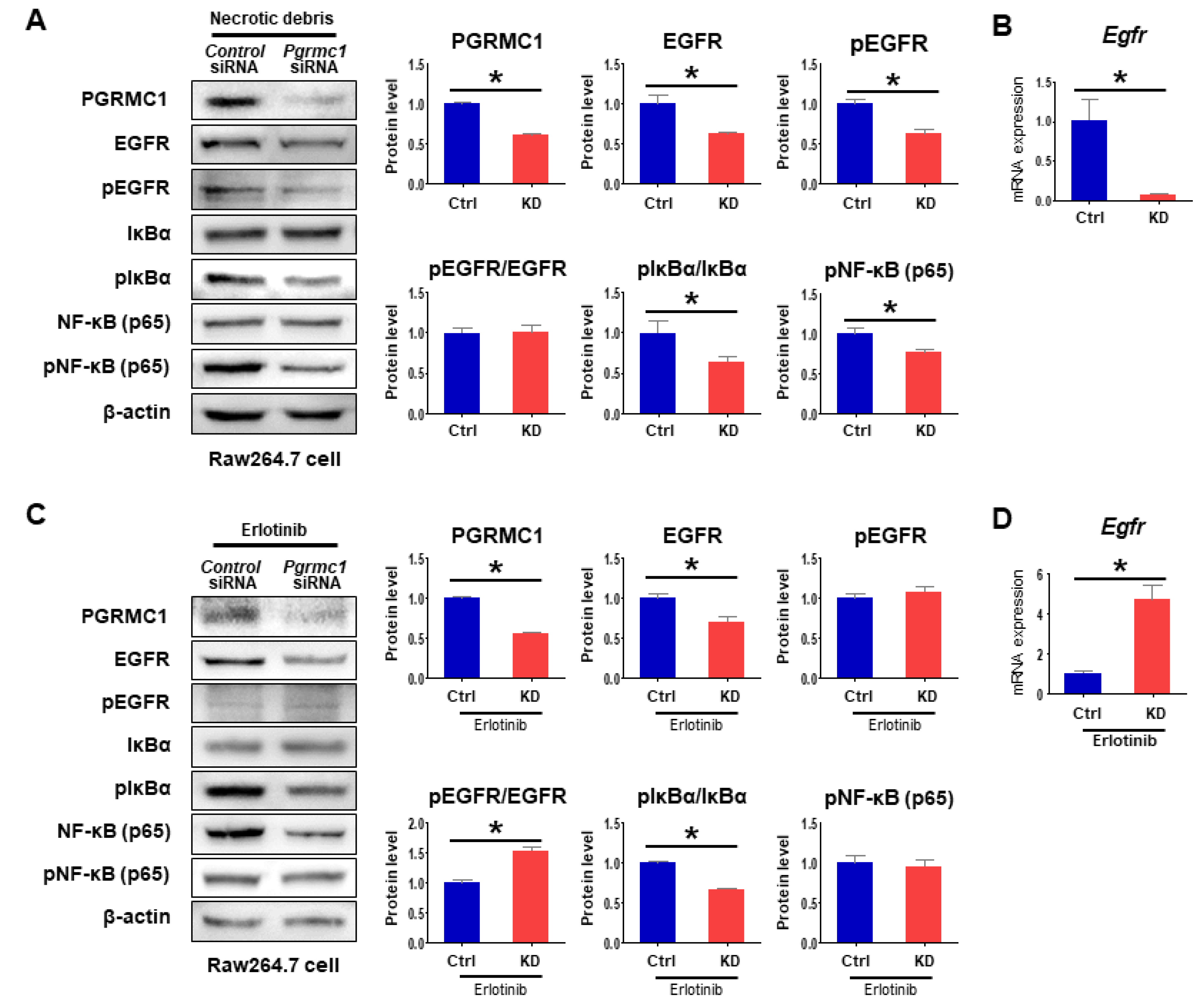 Cancers 13 02438 g006