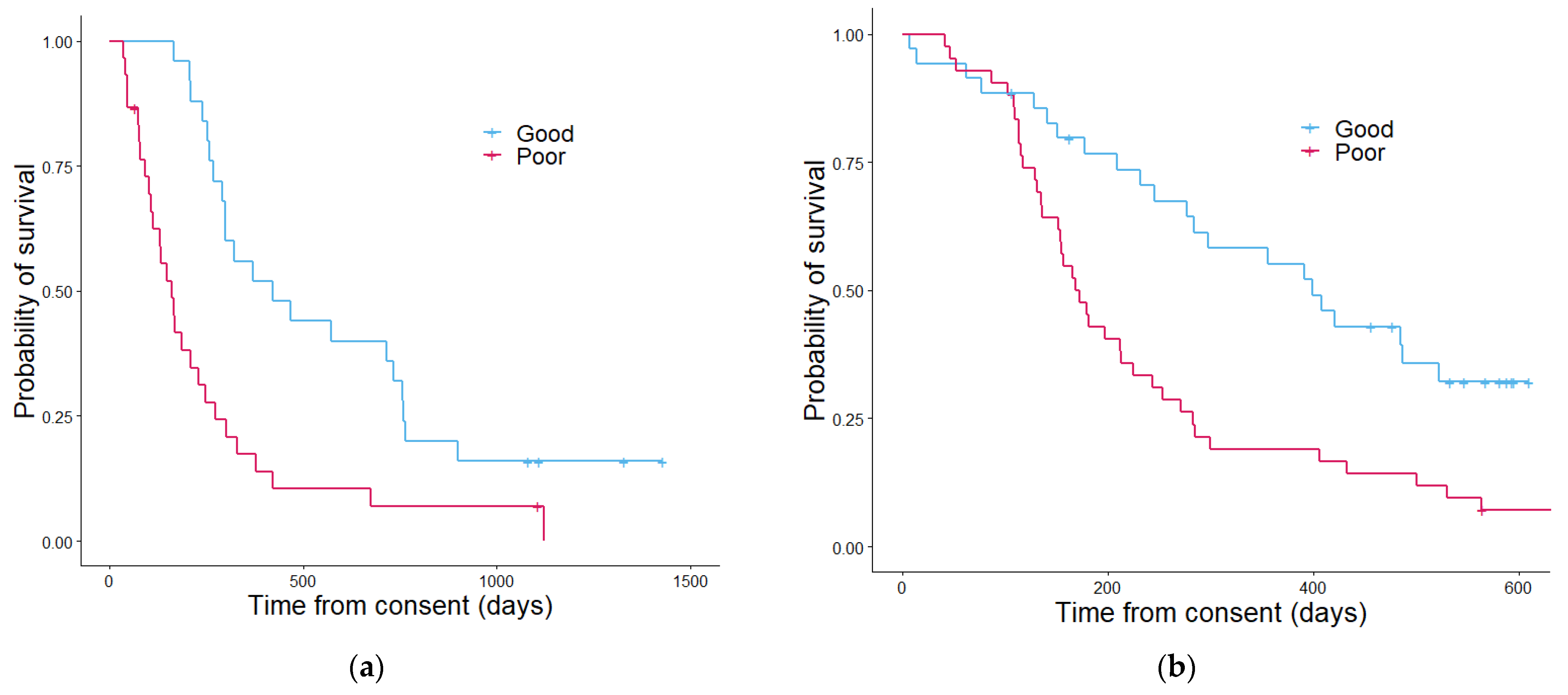 Cancers 13 02443 g004 Cancers 13 02443 g004