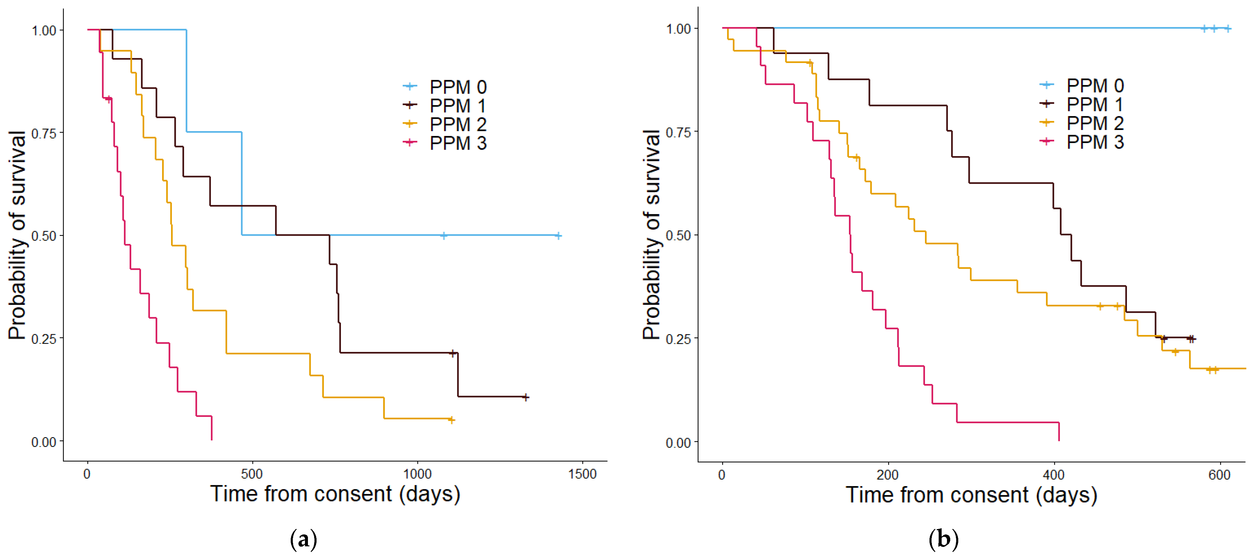Cancers 13 02443 g006 Cancers 13 02443 g006