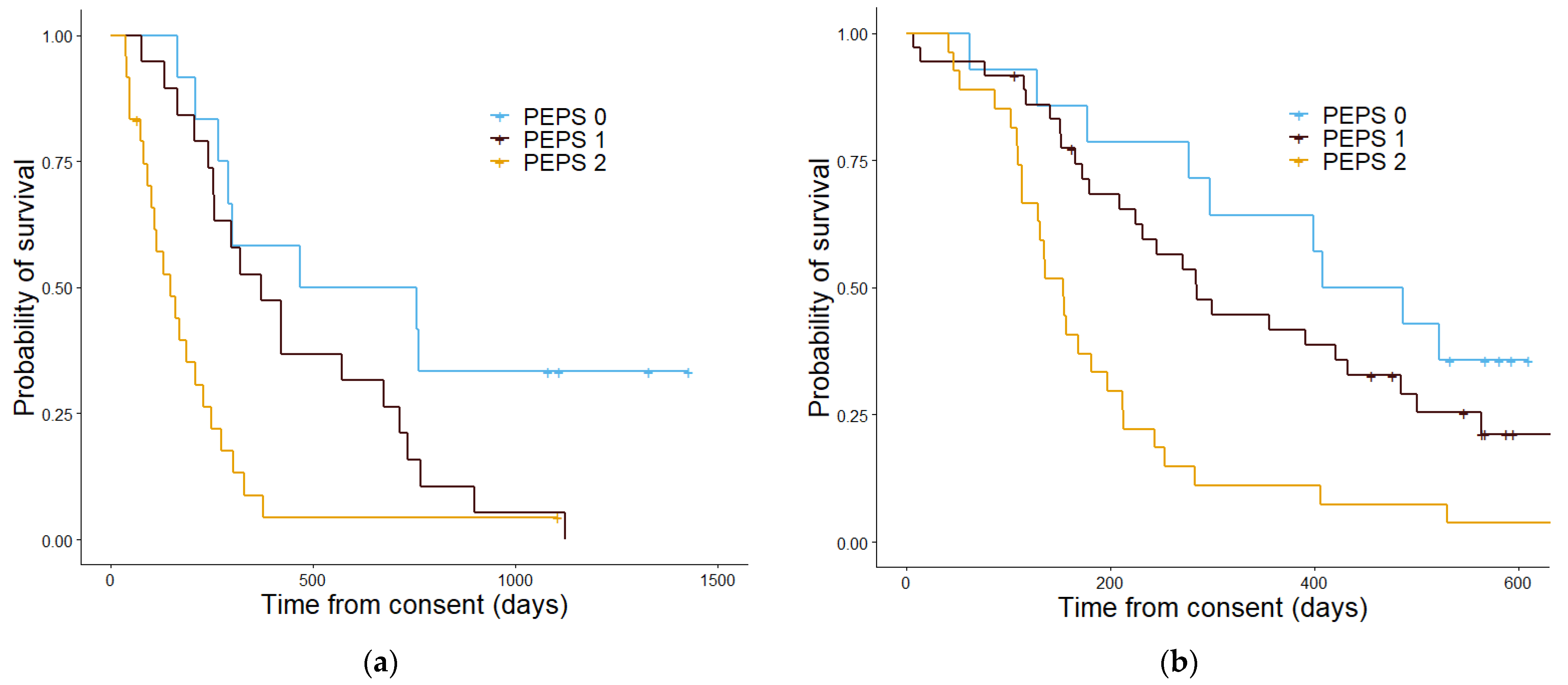 Cancers 13 02443 g007 Cancers 13 02443 g007