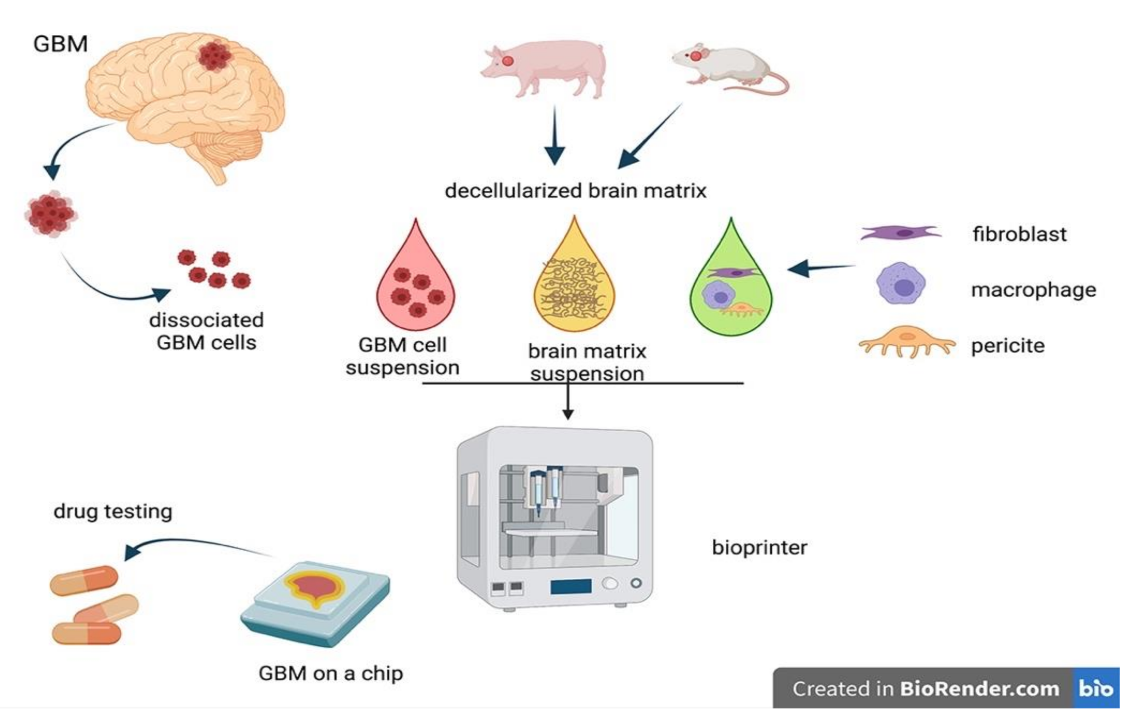 Cancers 13 02449 g003 Cancers 13 02449 g003