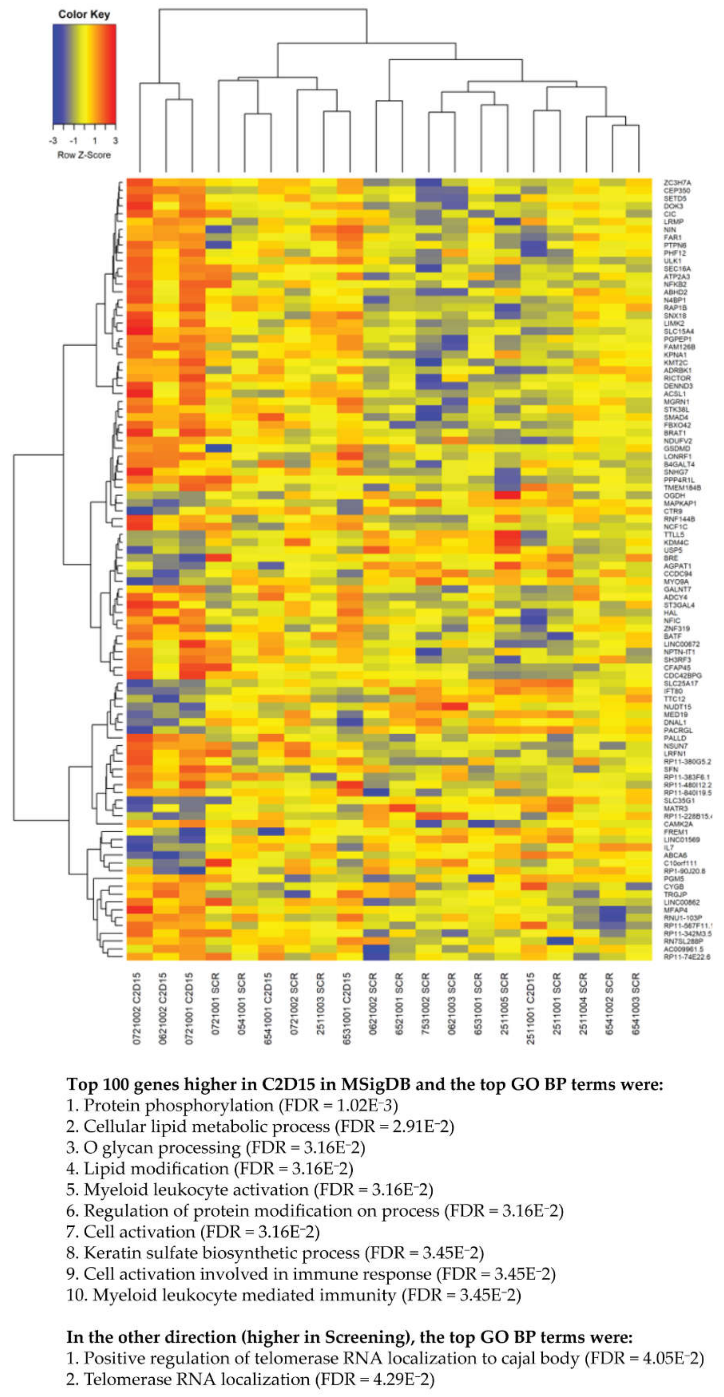 Cancers 13 02452 g003