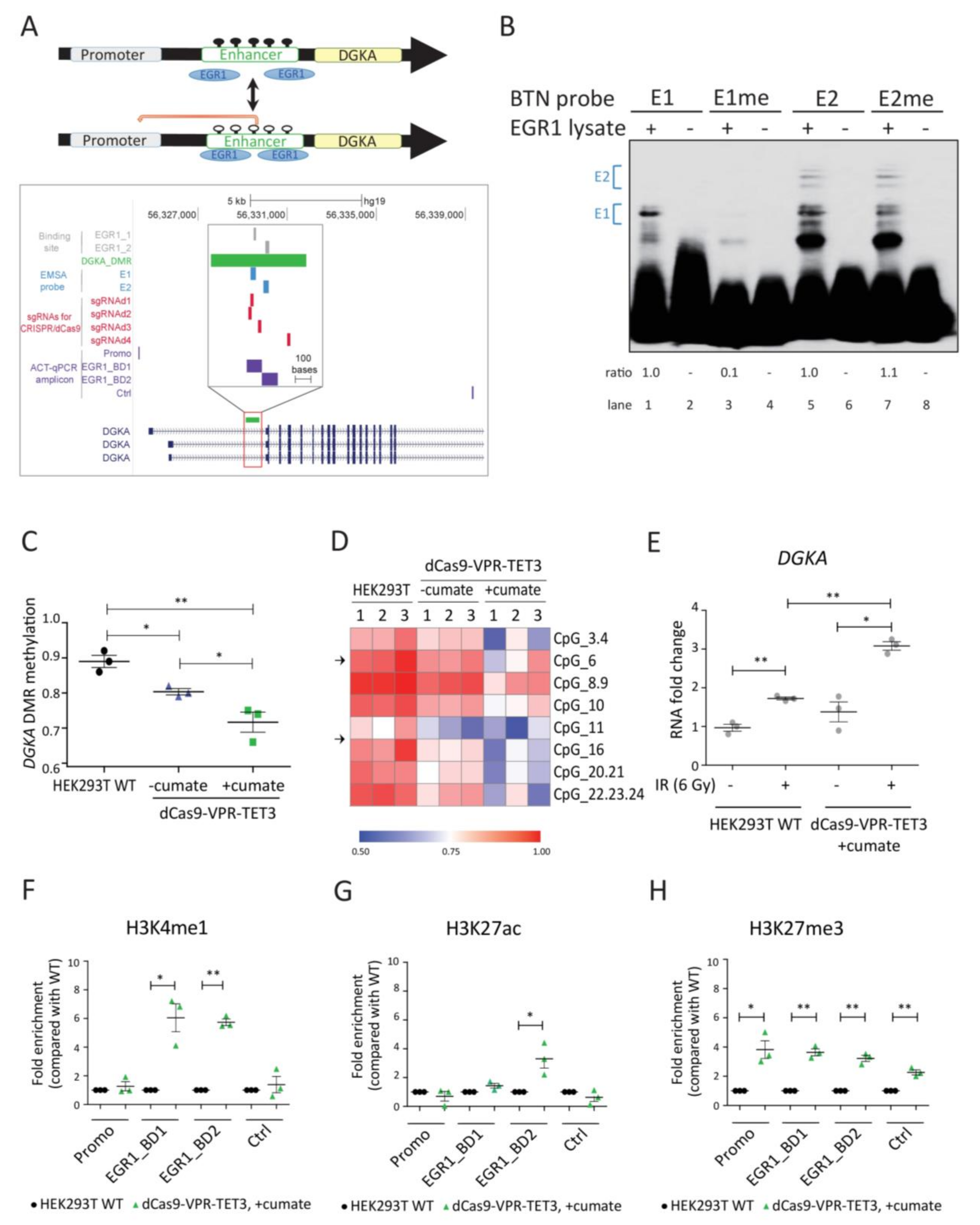 Cancers 13 02455 g001
