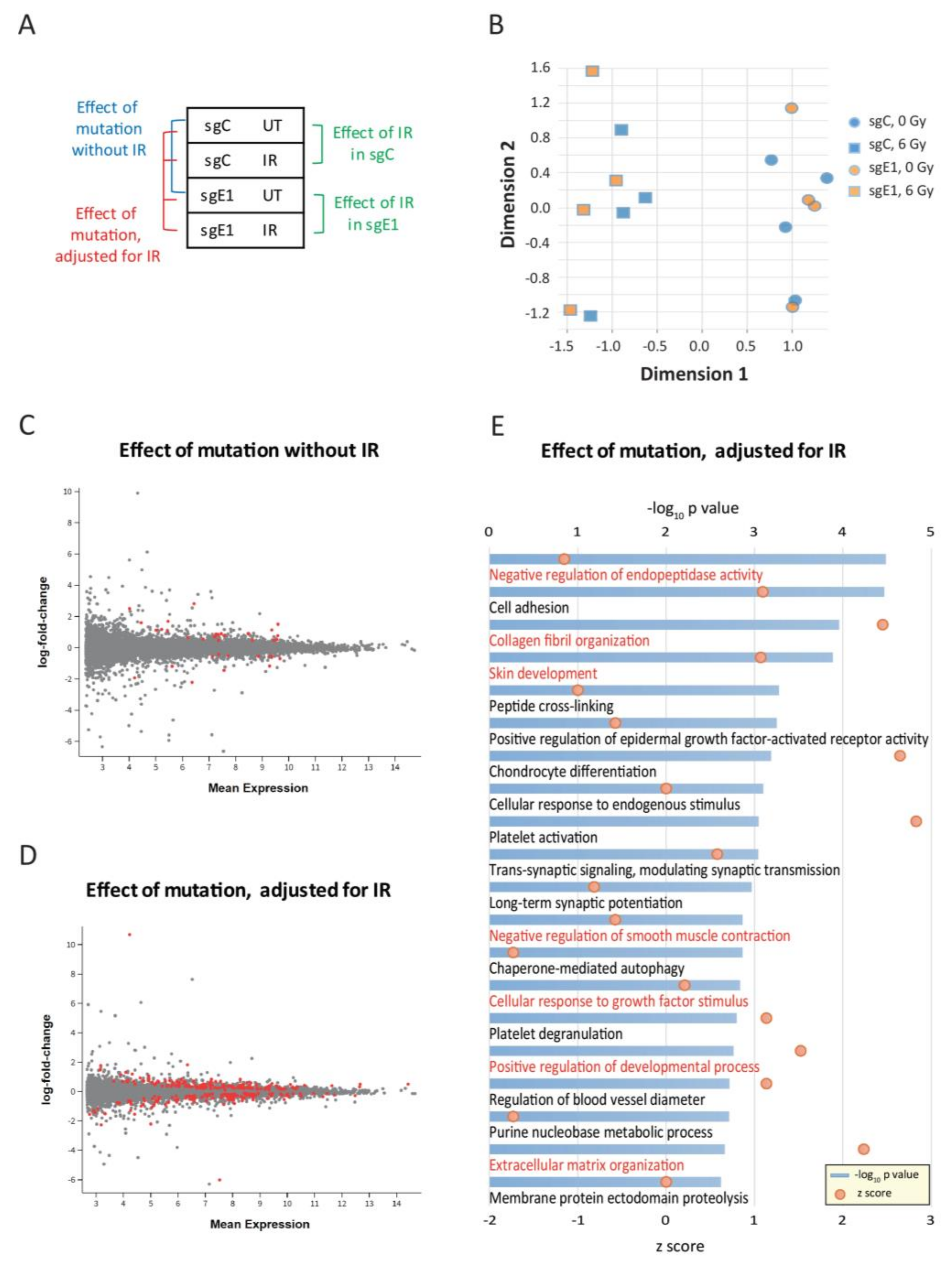 Cancers 13 02455 g003
