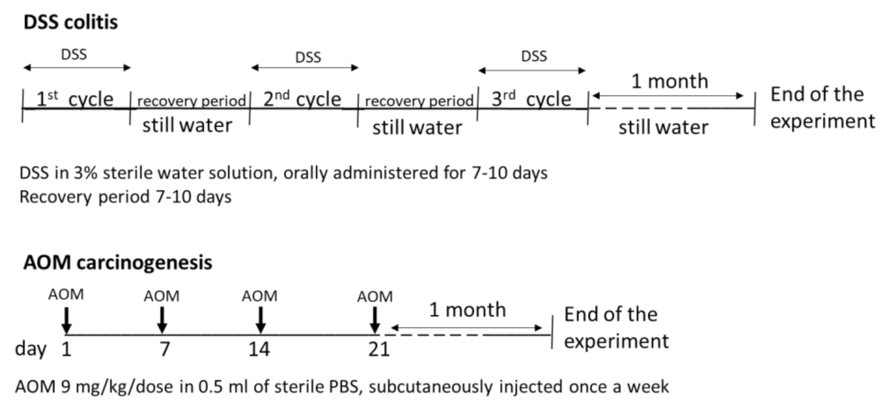 Cancers 13 02463 g002 Cancers 13 02463 g002
