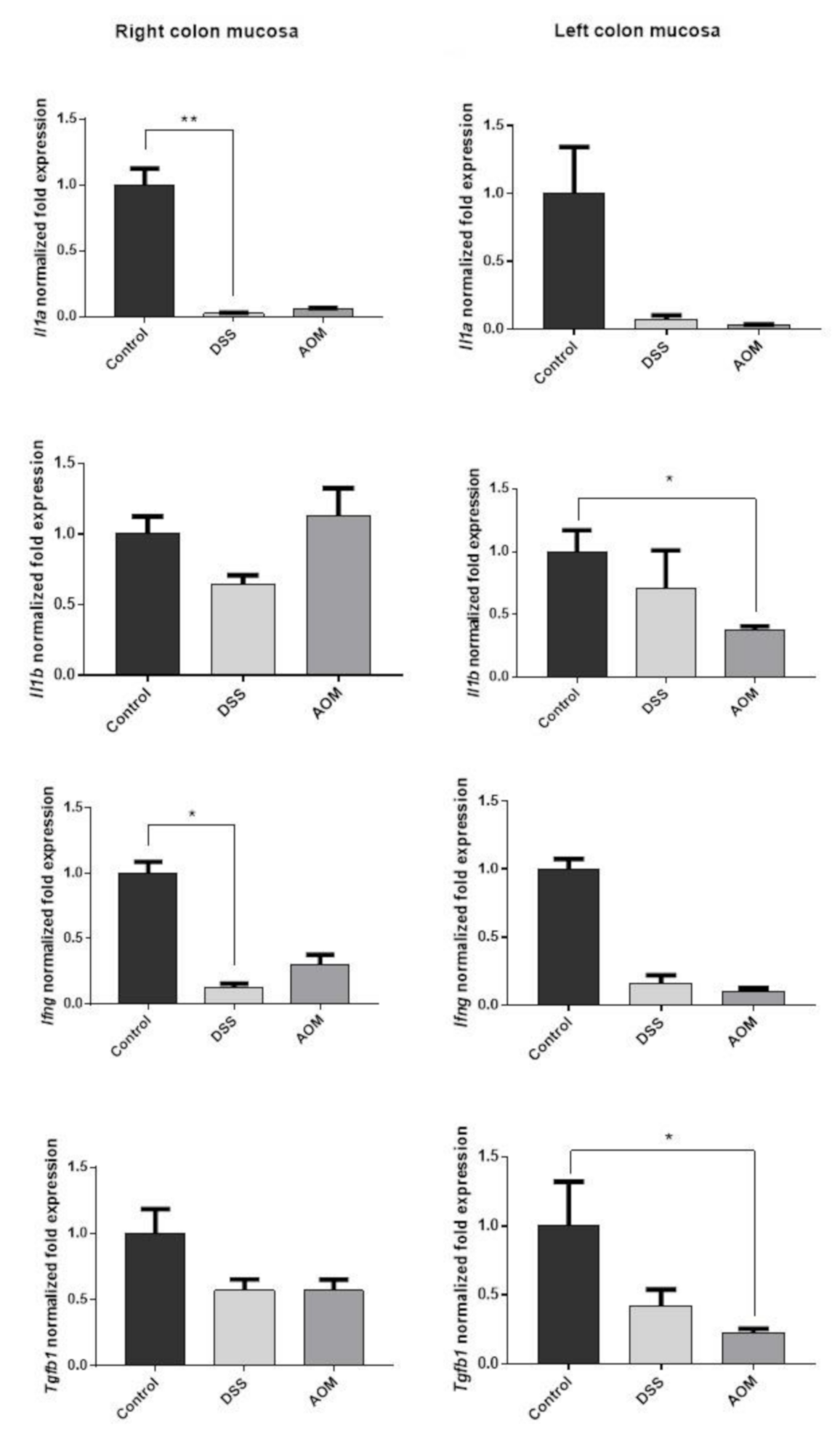 Cancers 13 02463 g007 Cancers 13 02463 g007