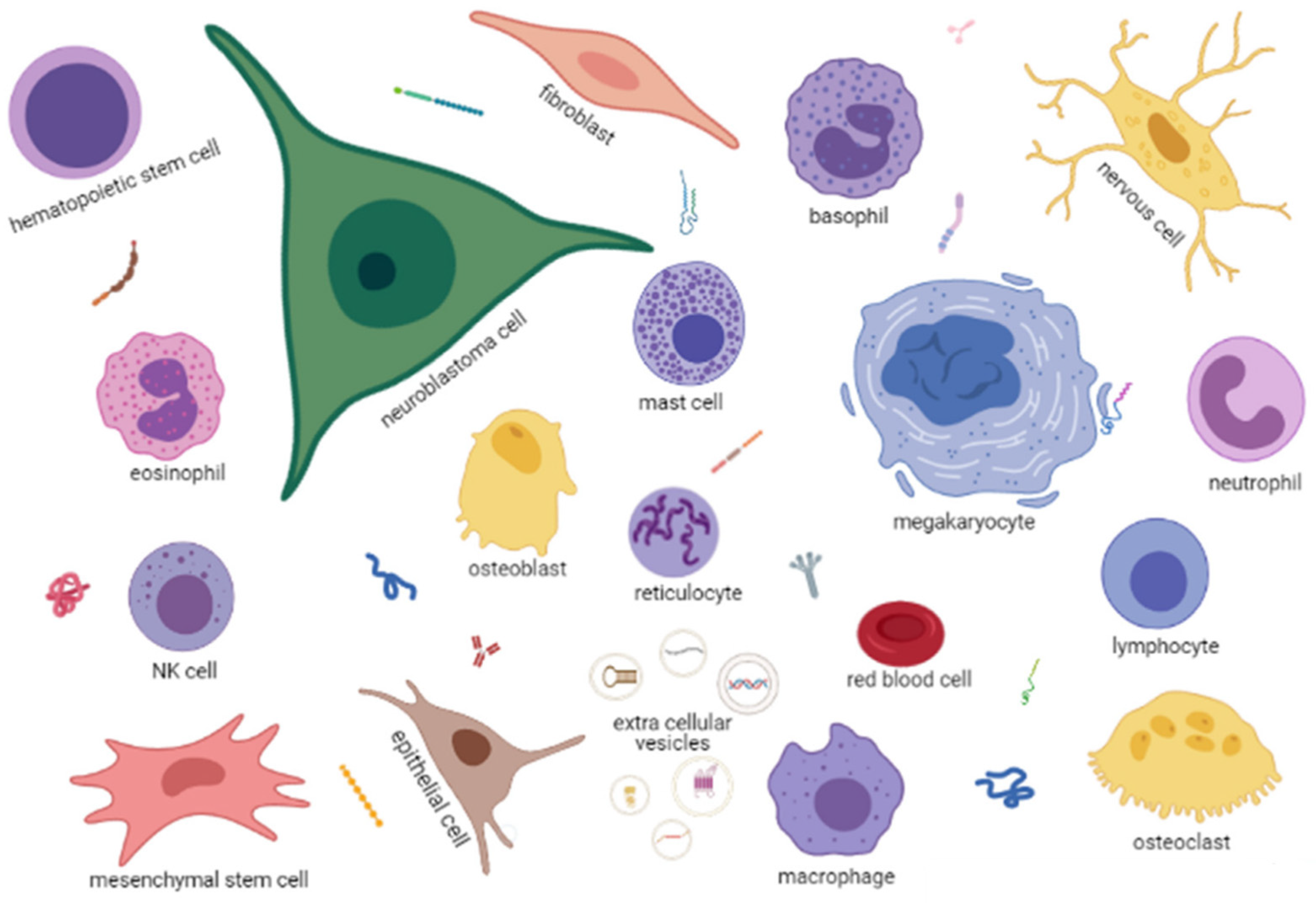 Cancers 13 02467 g002 Cancers 13 02467 g002