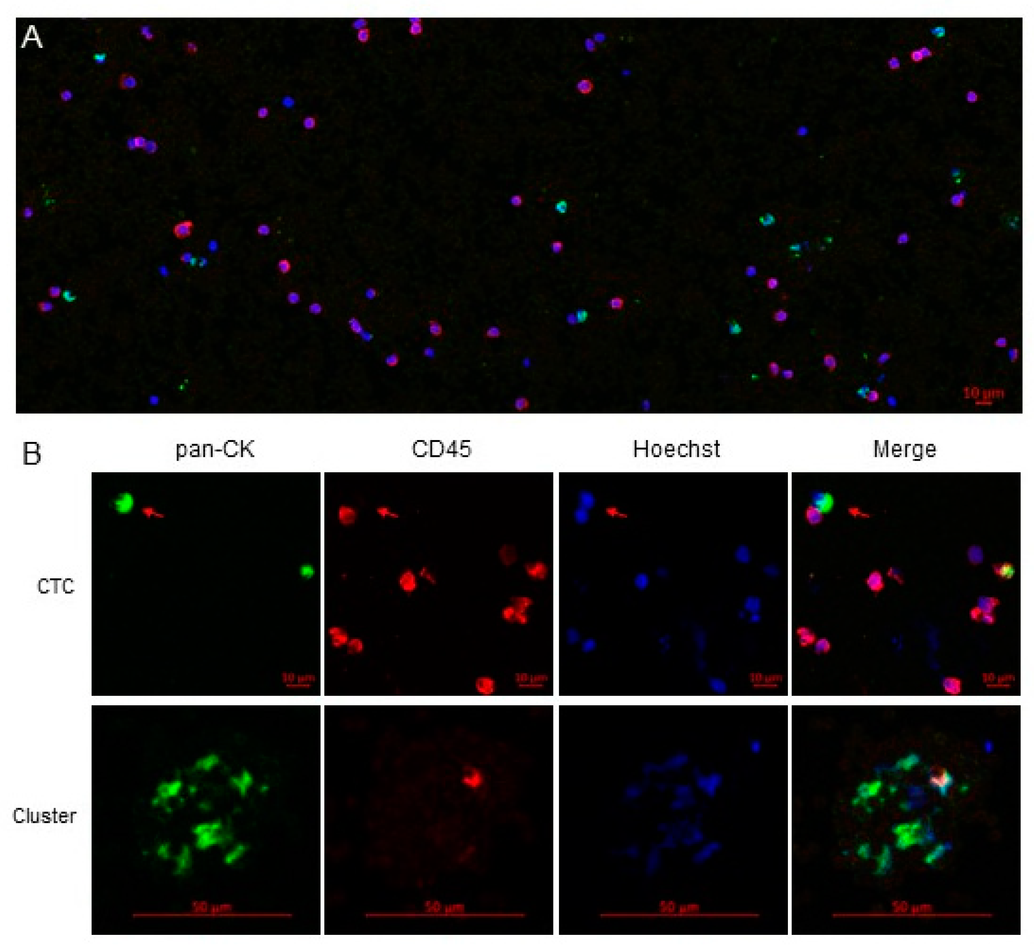 Cancers 13 02476 g003