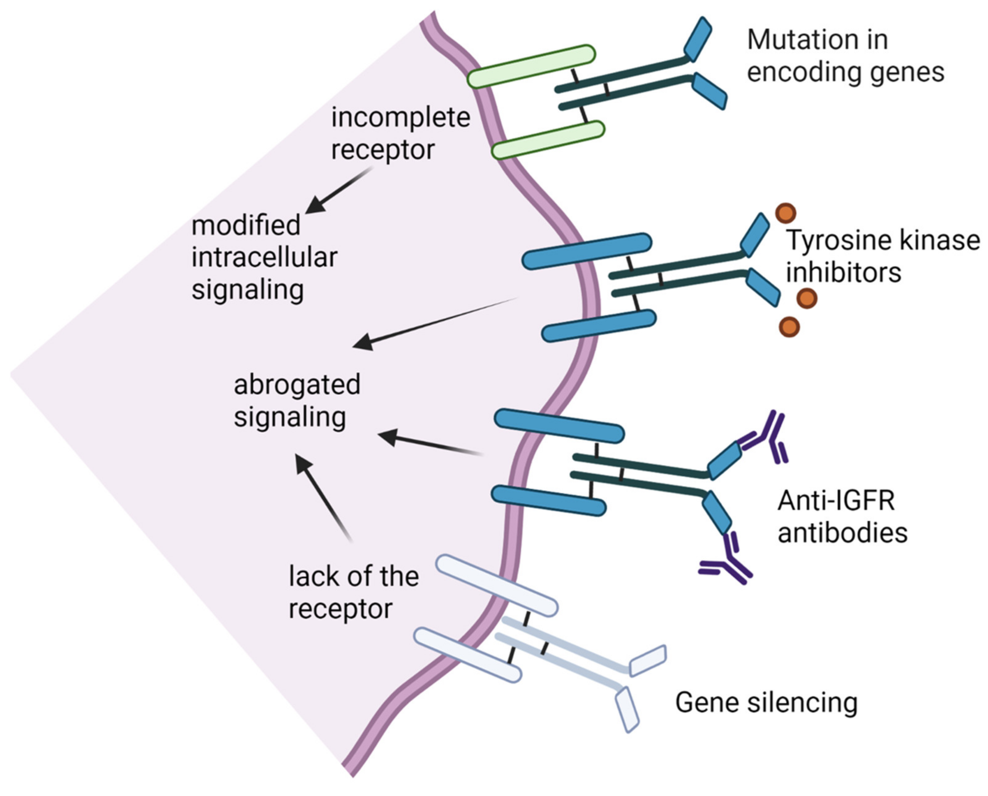 Cancers 13 02478 g002