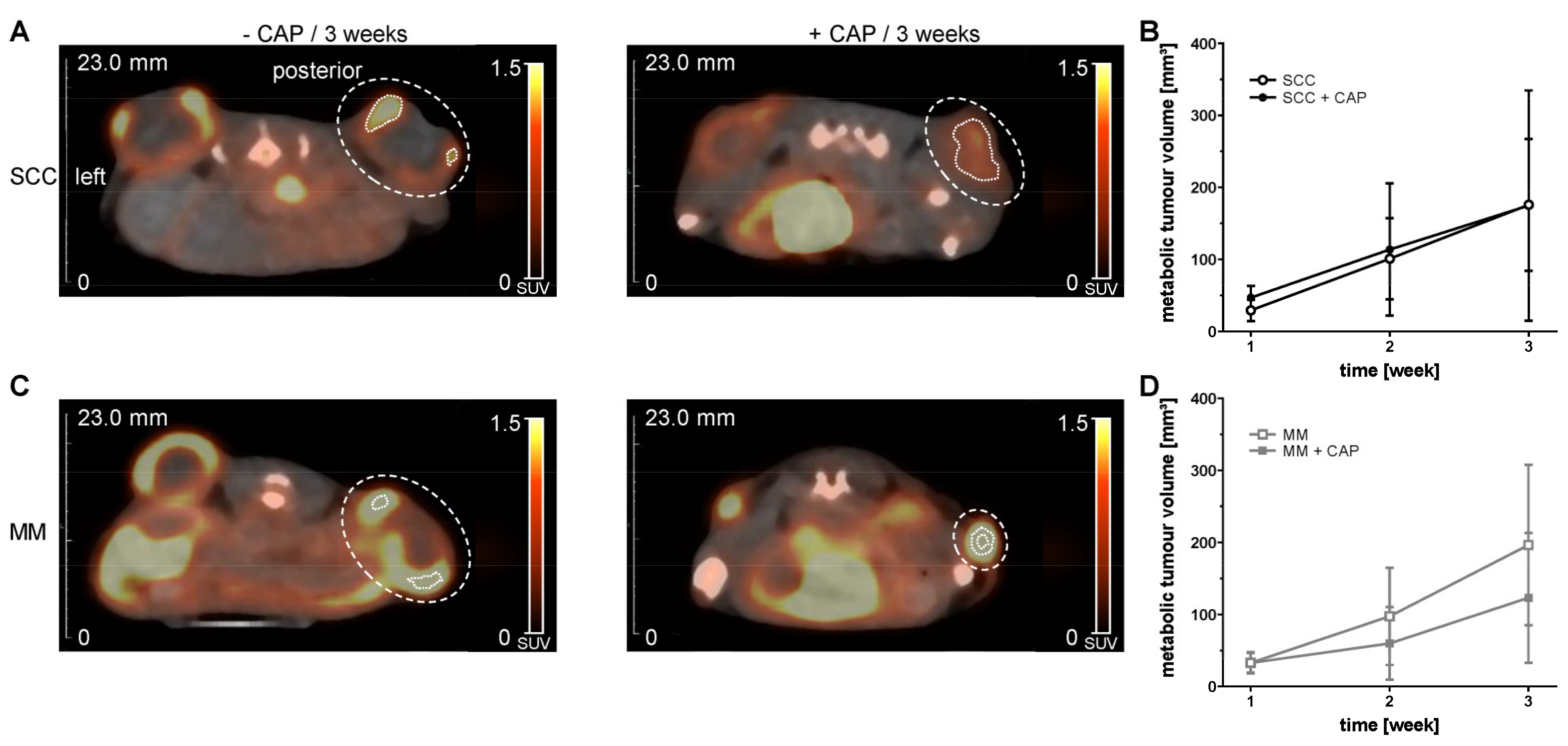 Cancers 13 02483 g003